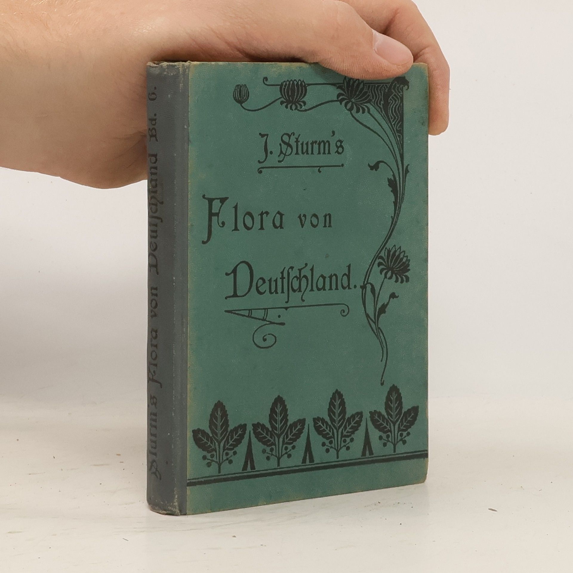 J. Sturms Flora von Deutschland. Band 6