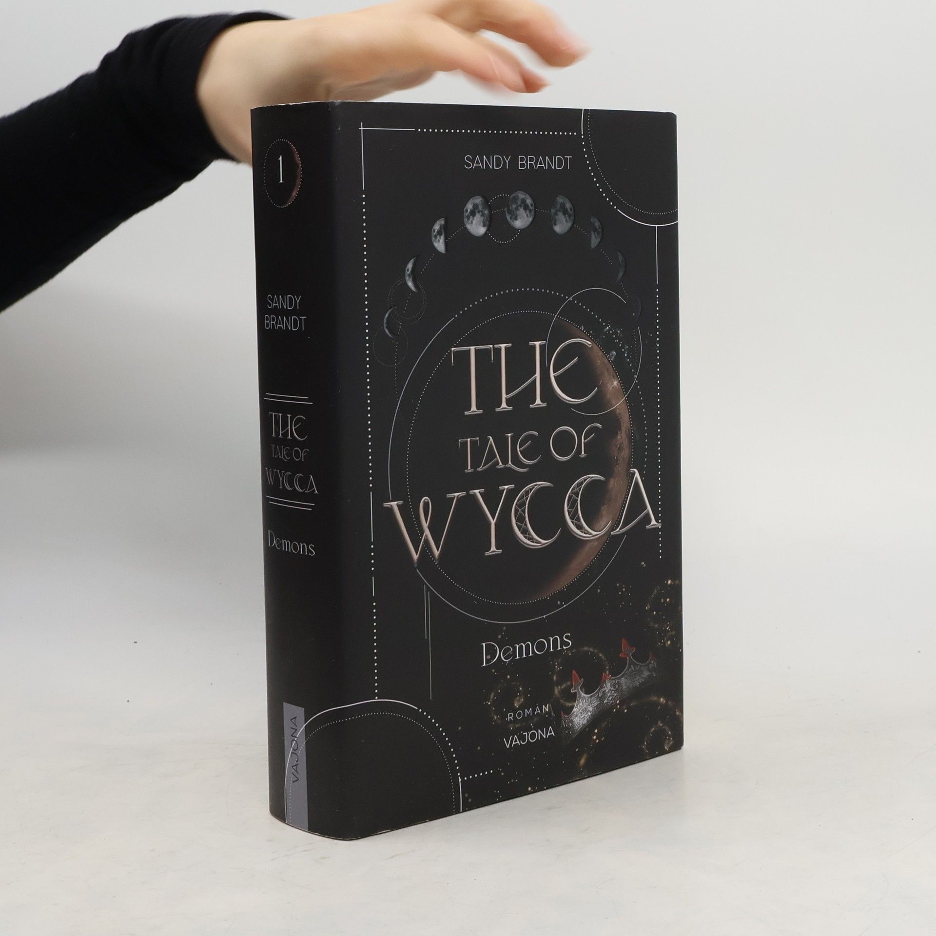 Sandy Brandt THE TALE OF WYCCA: Demons (WYCCA-Reihe 1)
