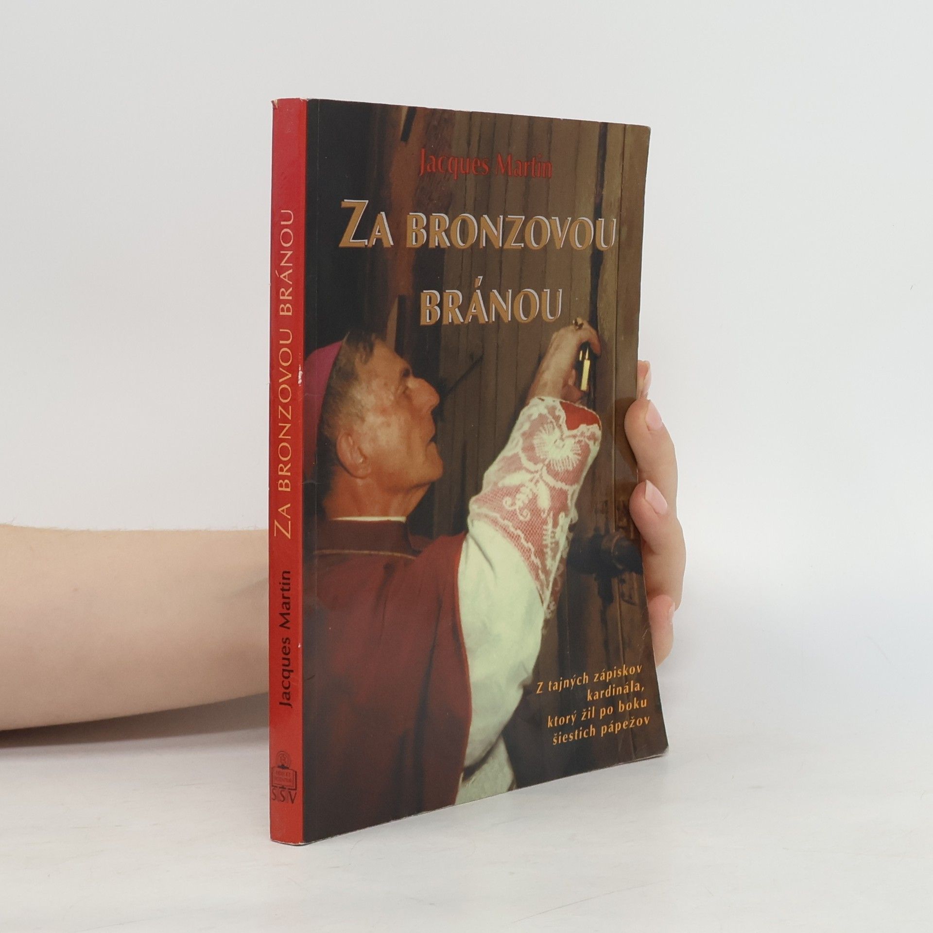 Za bronzovou bránou