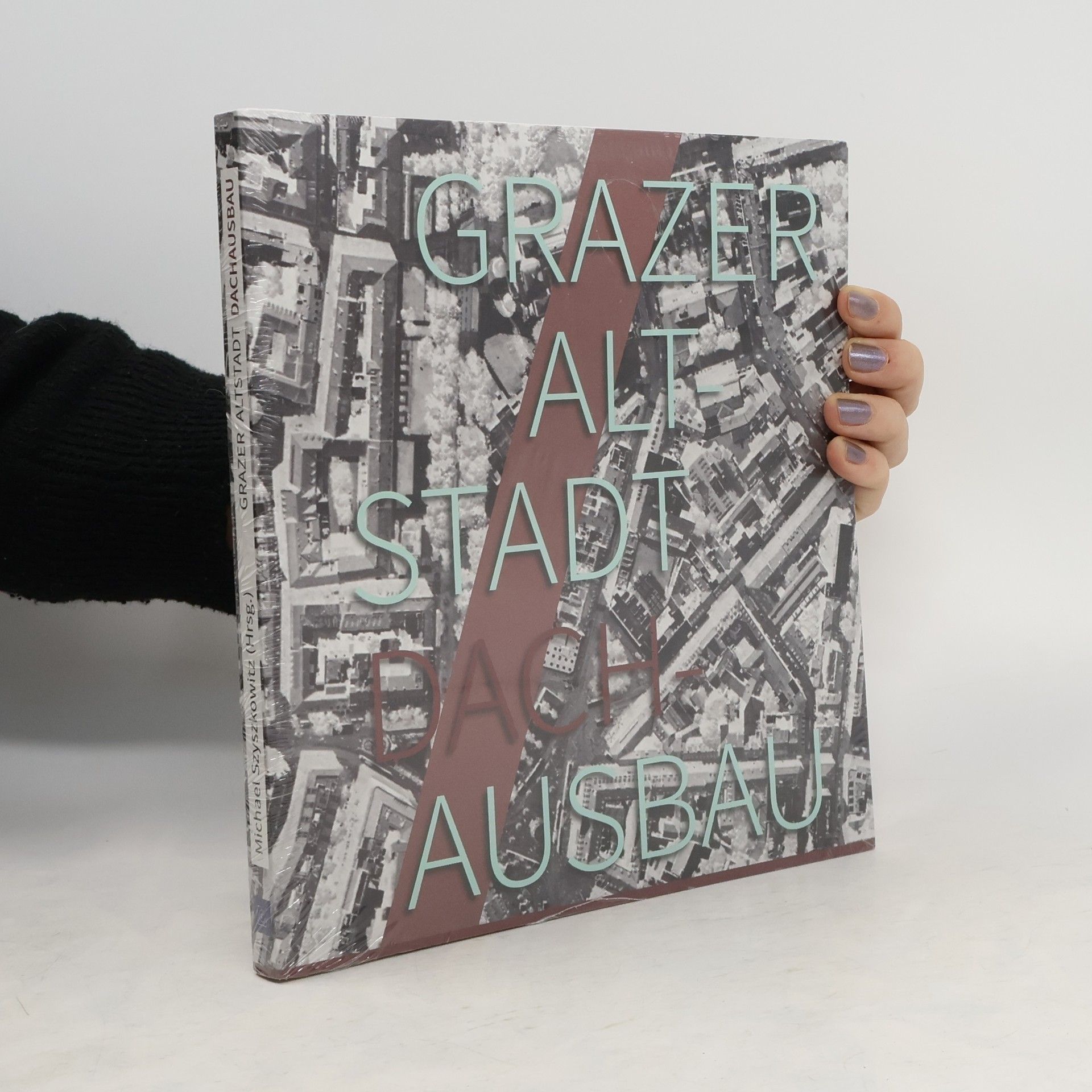 Michael Szyszkowitz Dachausbau