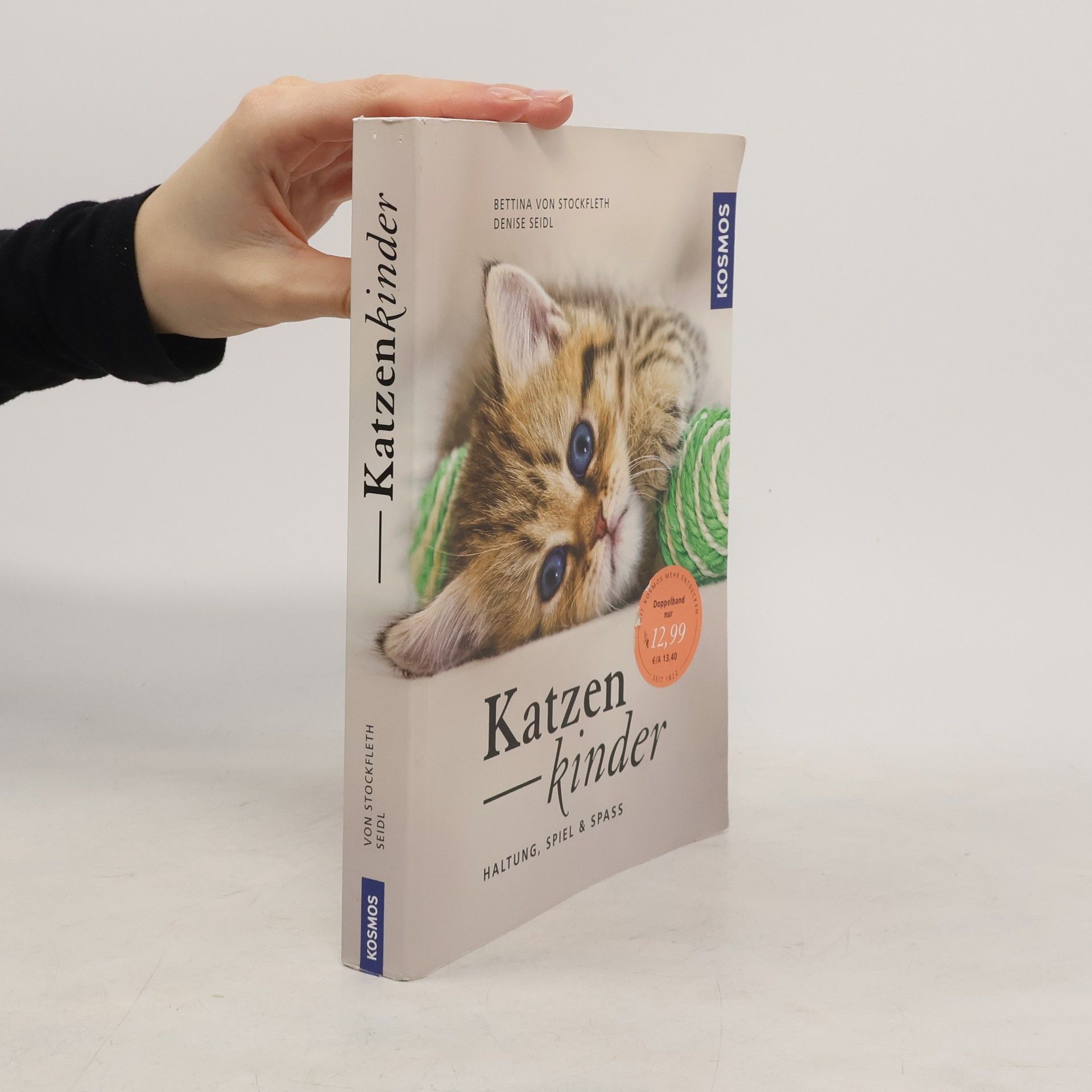 Bettina von Stockfleth Katzenkinder