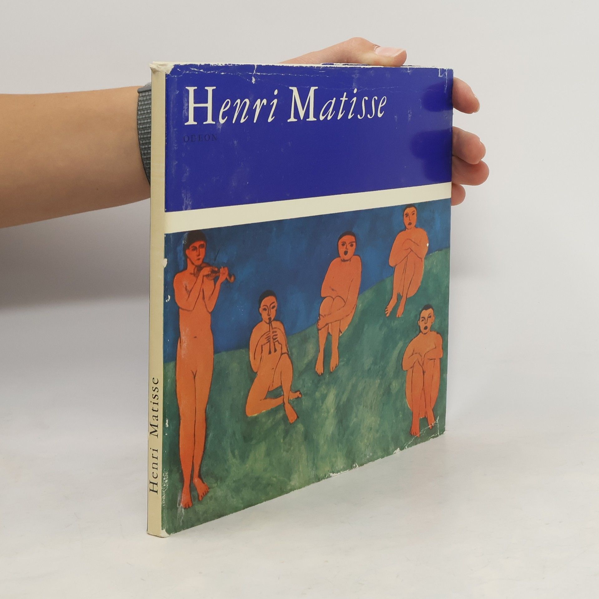 Vlastimil Fiala Henri Matisse