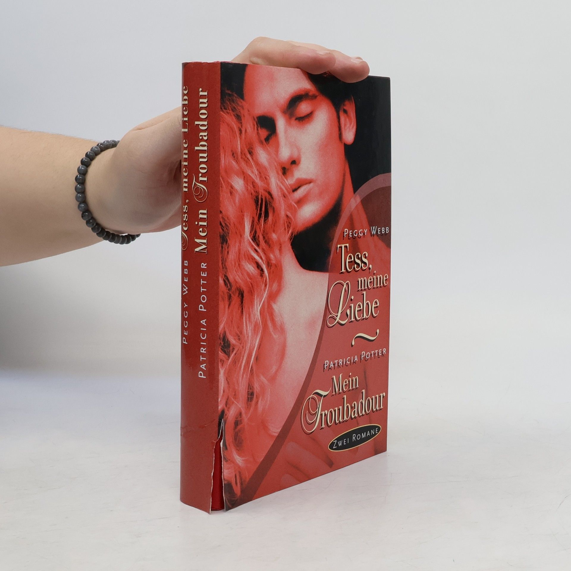 Patricia Potter Tess meine Liebe. Mein Troubadour