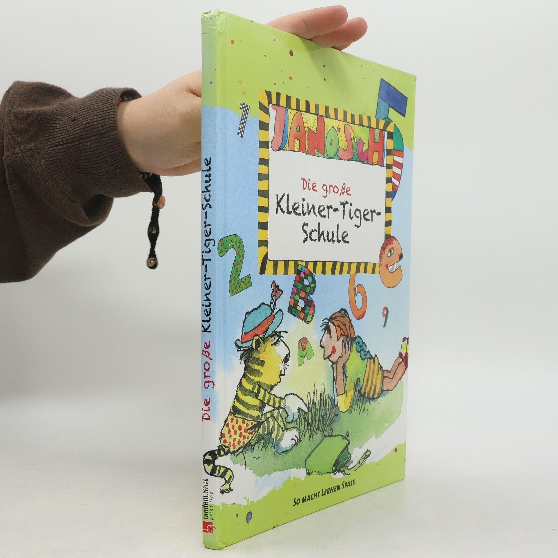 Autorenkollektiv Die große Kleiner-Tiger-Schule