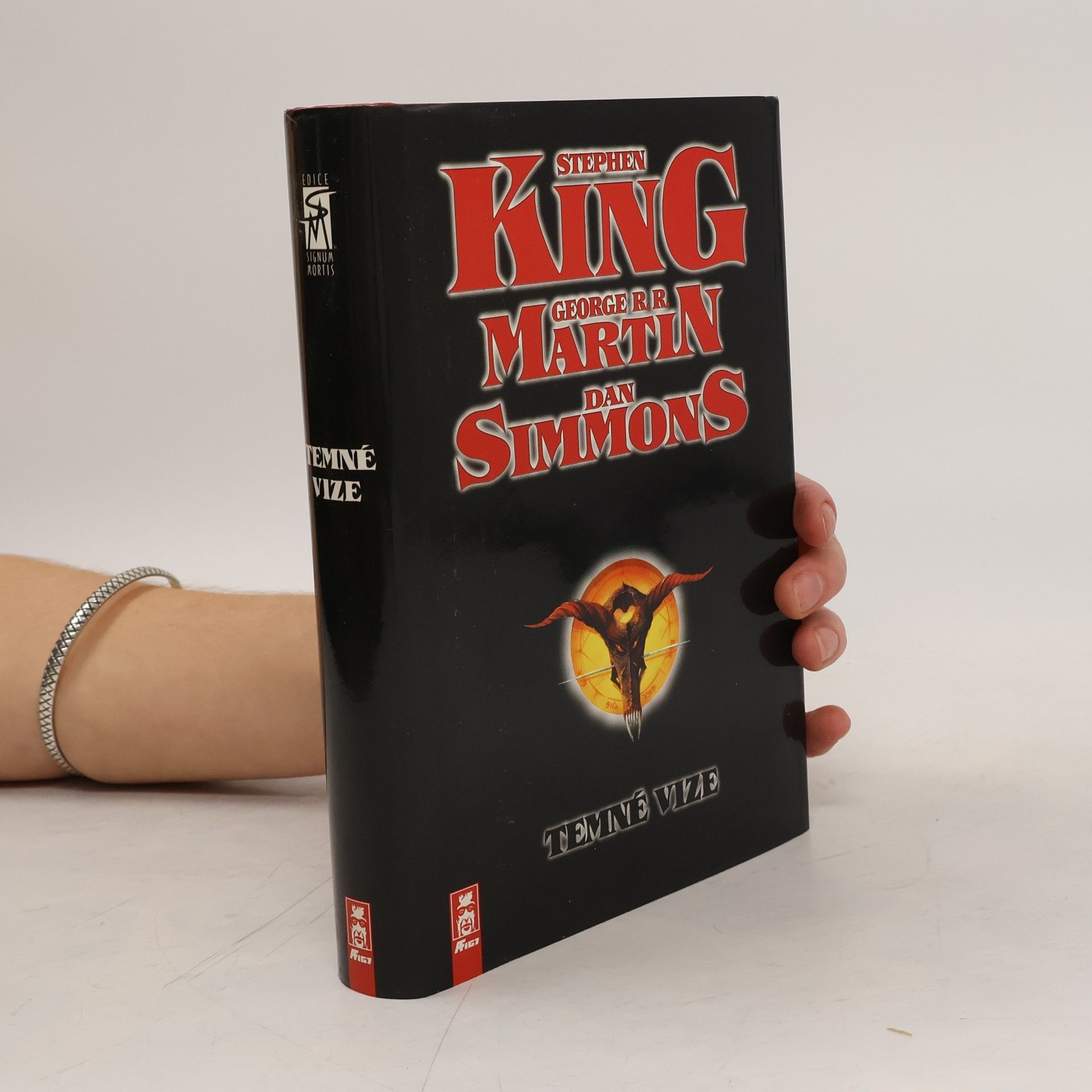 Stephen King Temné vize