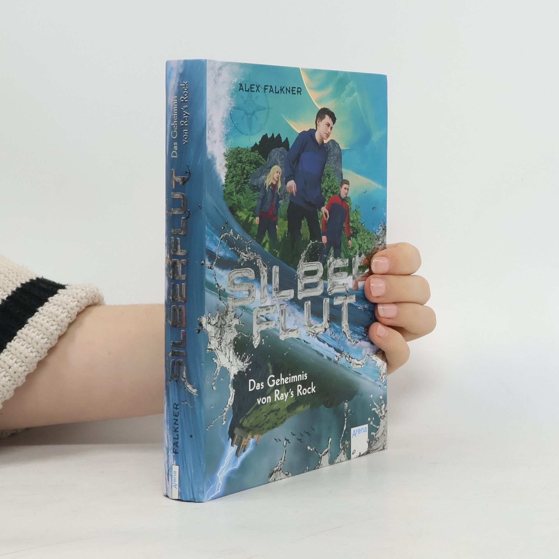 Silberflut 1: Das Geheimnis von Ray's Rock