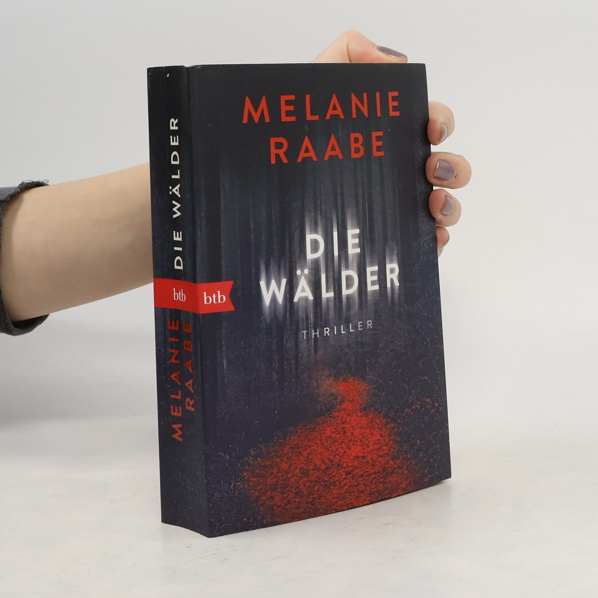 Melanie Raabe Die Wälder