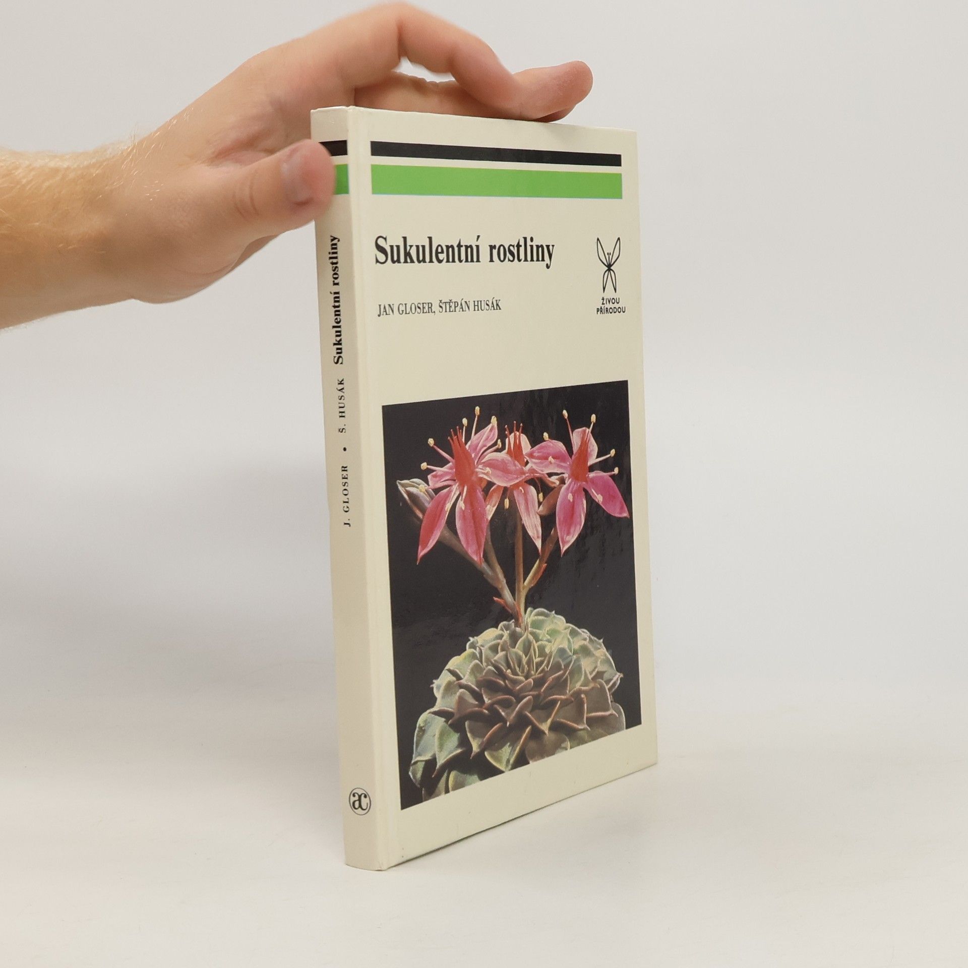 Sukulentní rostliny