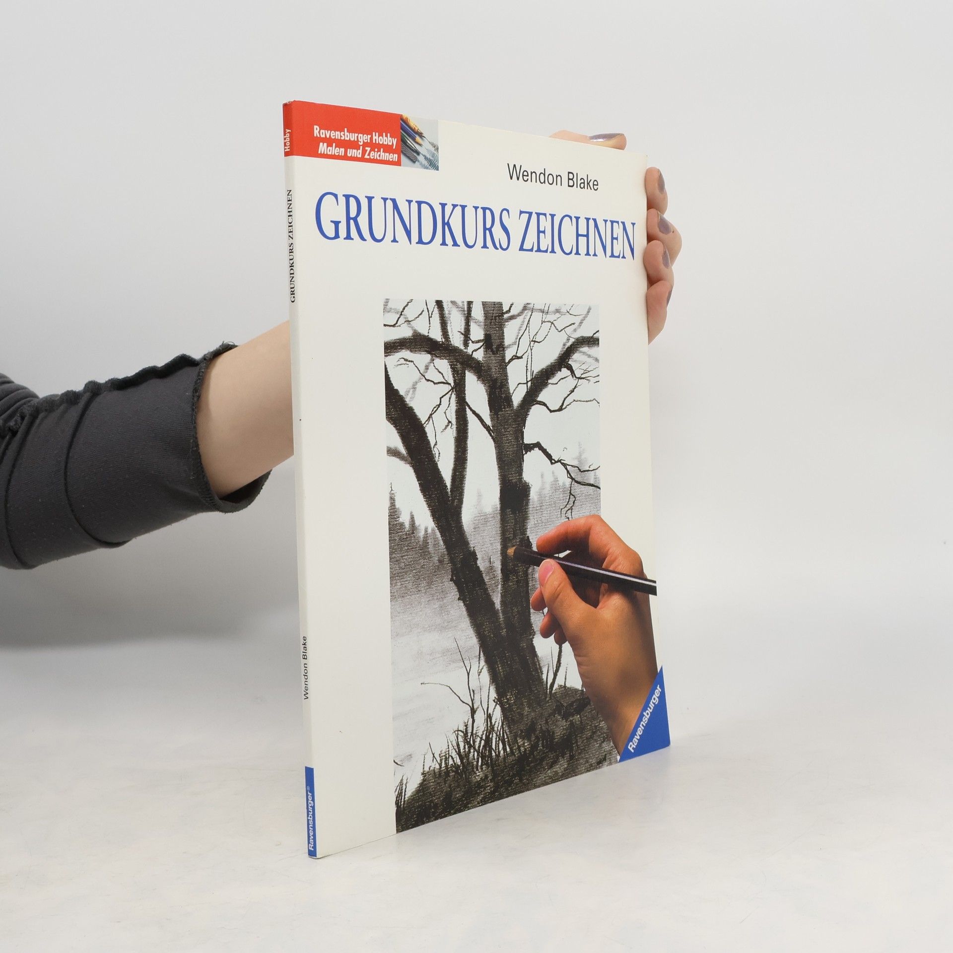 Wendon Blake Grundkurs Zeichnen