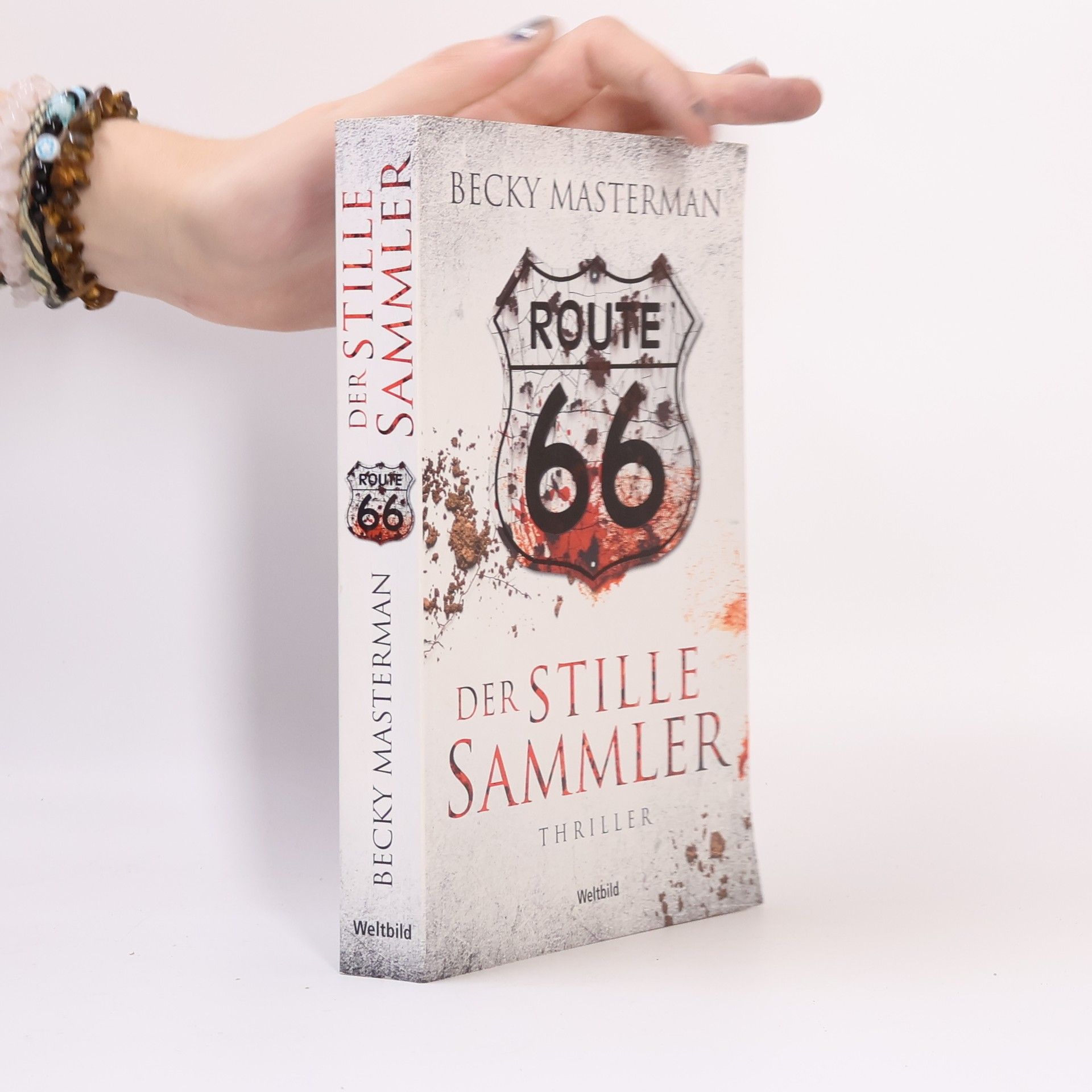 Becky Masterman Der stille Sammler