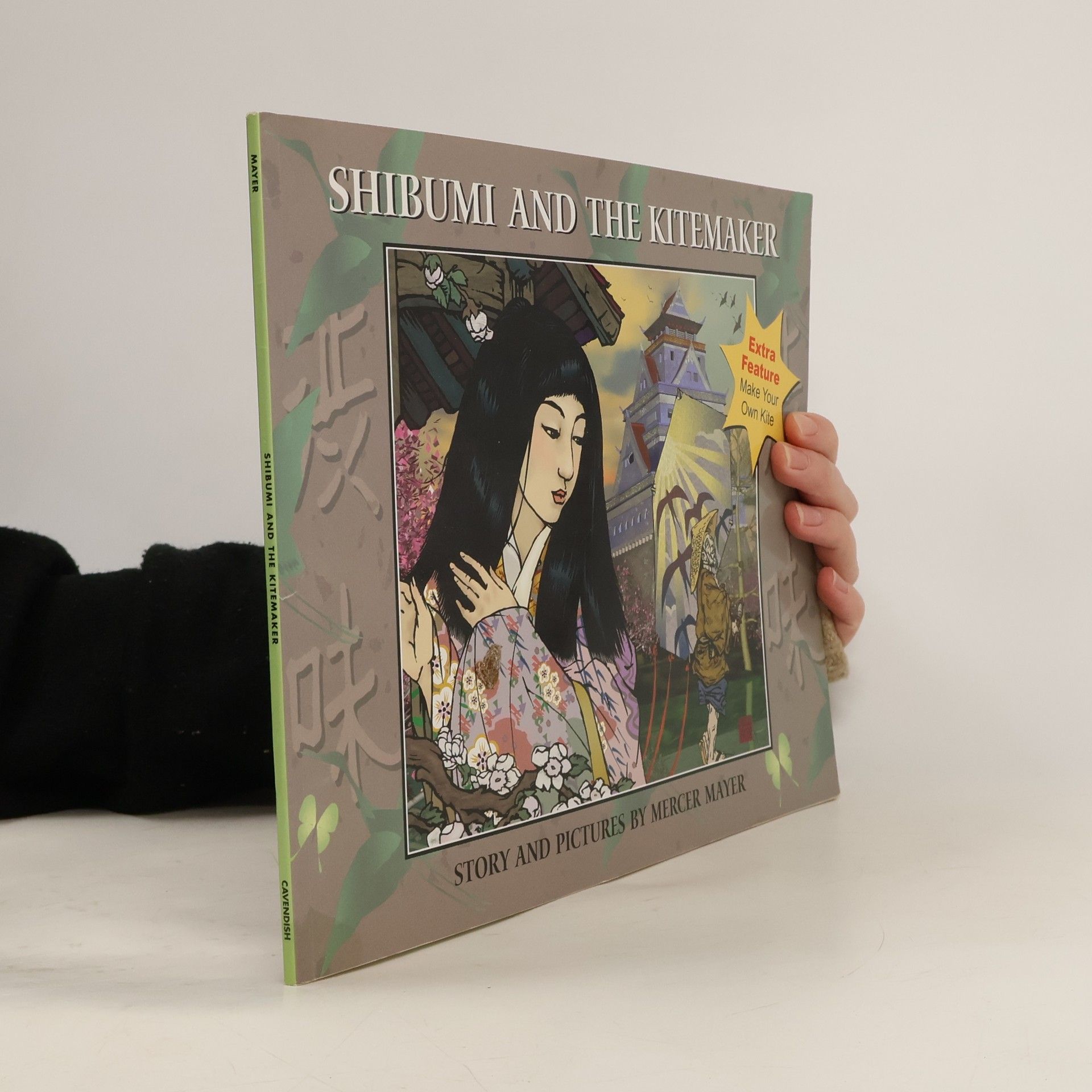 Mercer Mayer Shibumi and the Kitemaker