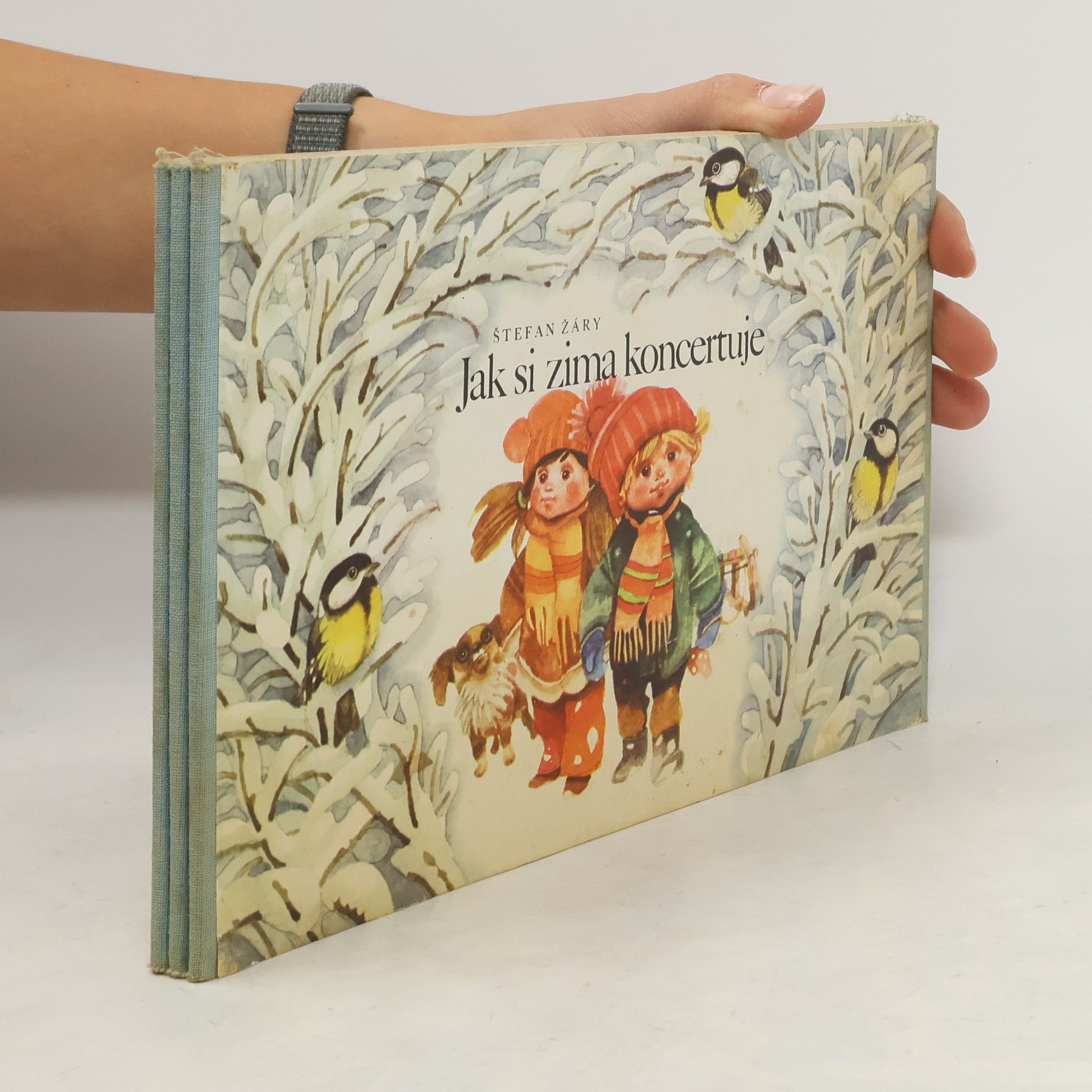Štefan Žáry Jak si zima koncertuje