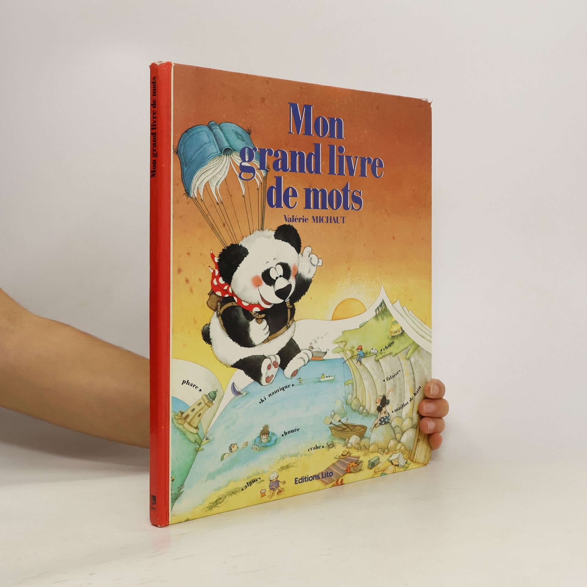 Valérie Michaut Mon grand livre de mots