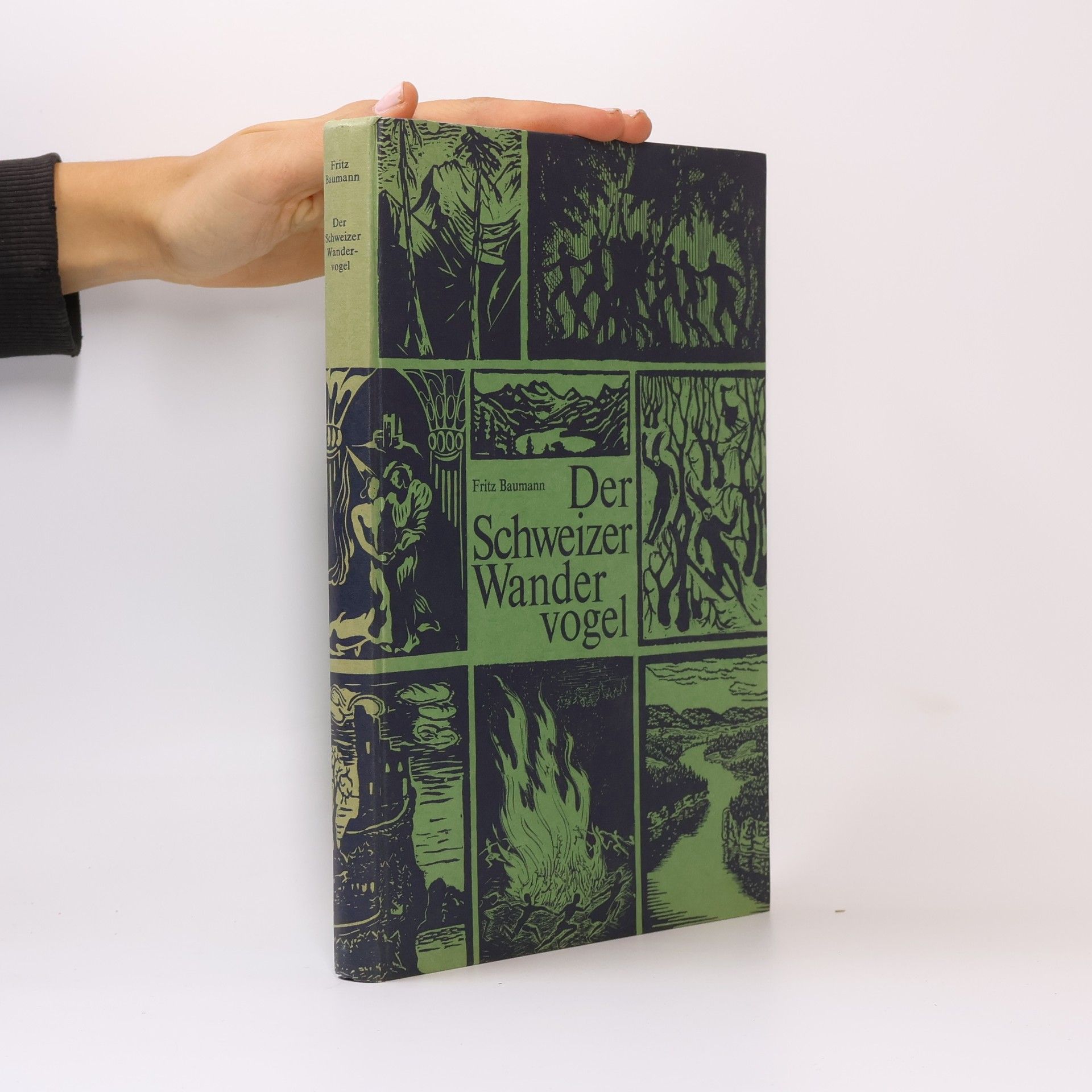 Fritz Baumann Der Schweizer Wandervogel