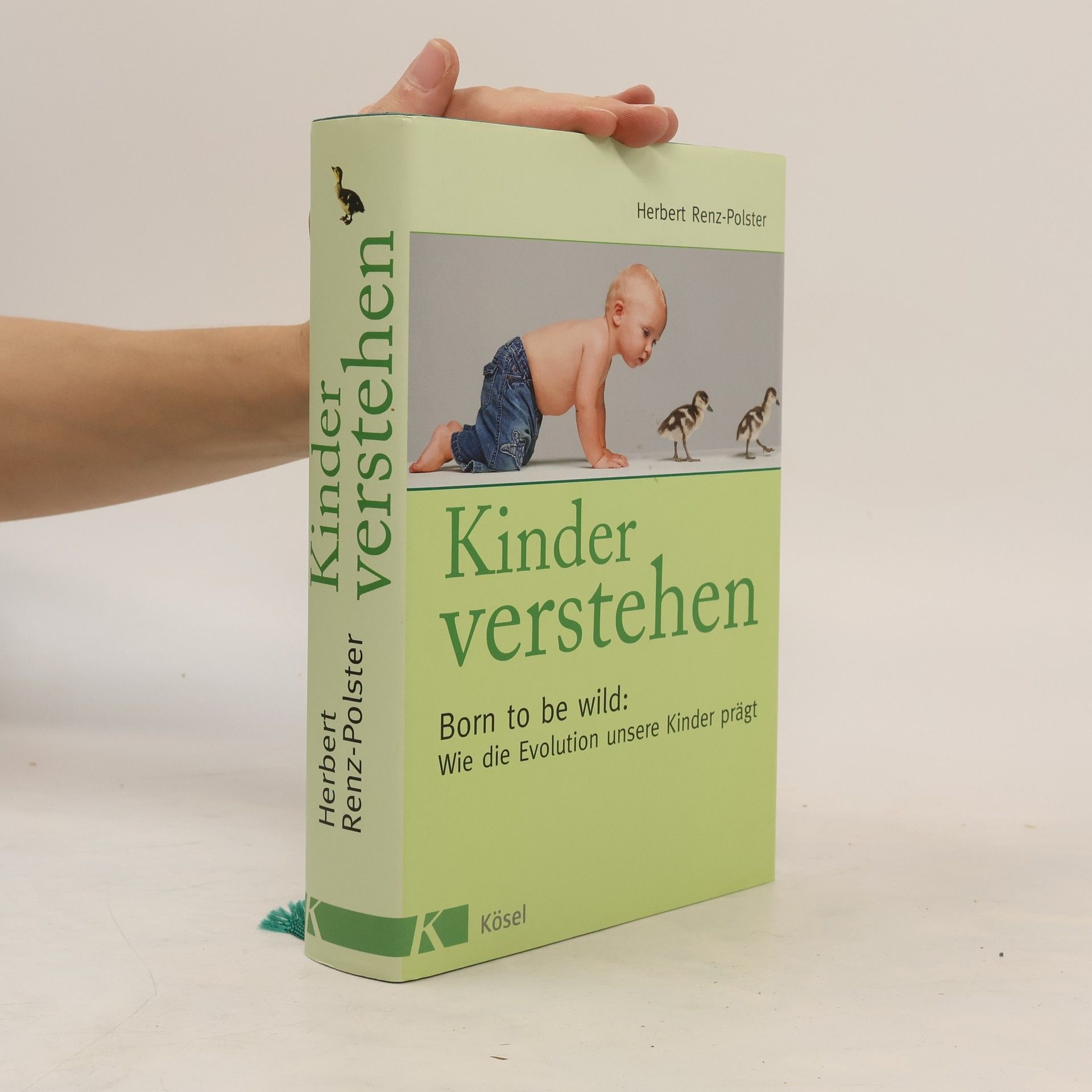 Herbert Renz-Polster Kinder verstehen