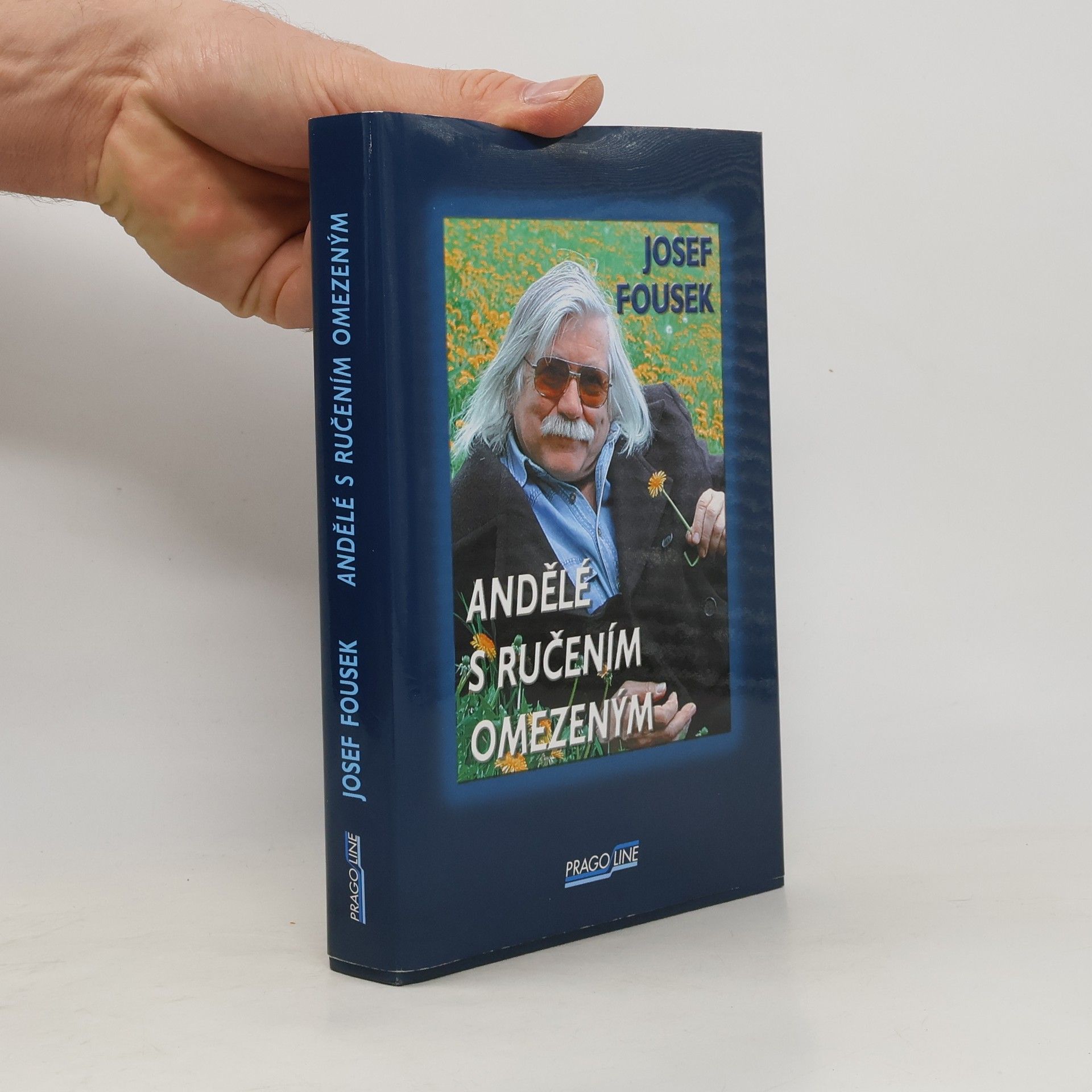 Andělé s ručením omezeným