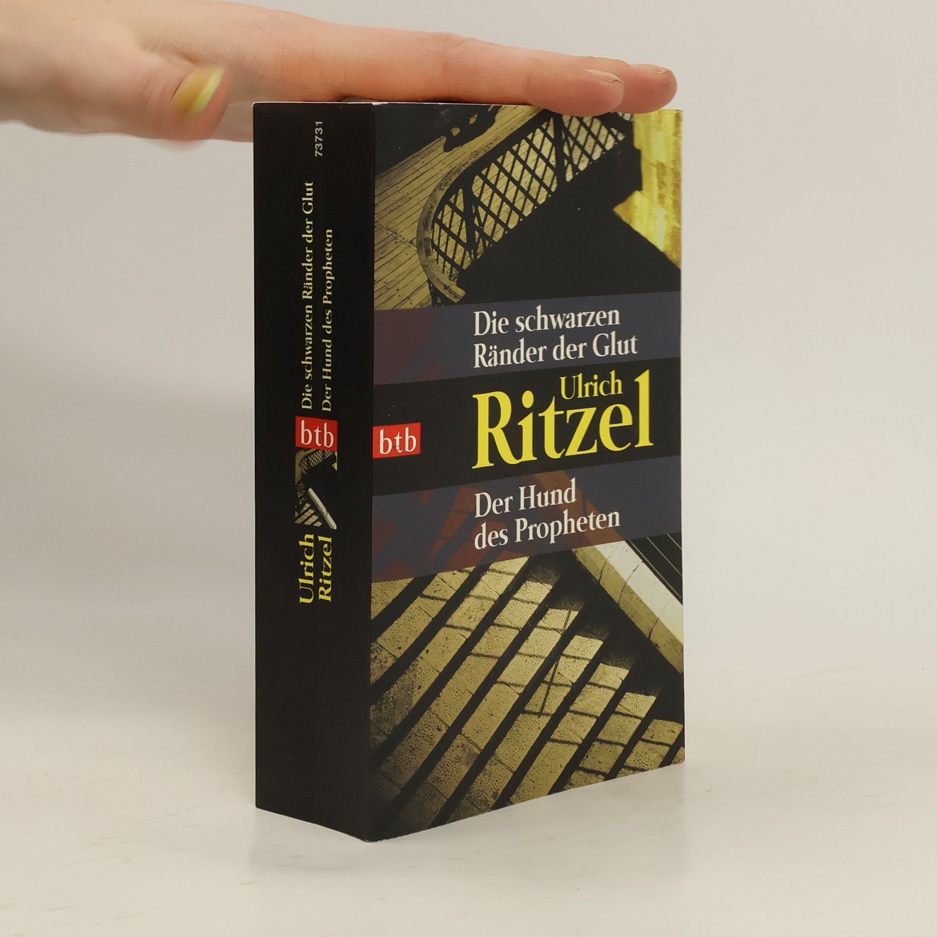 Ulrich Ritzel Die schwarzen Ränder der Glut