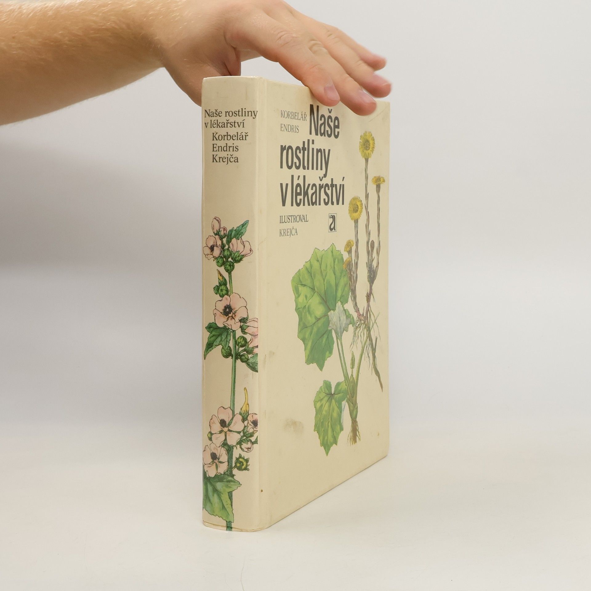Jaroslav Korbelář Naše rostliny v lékařství