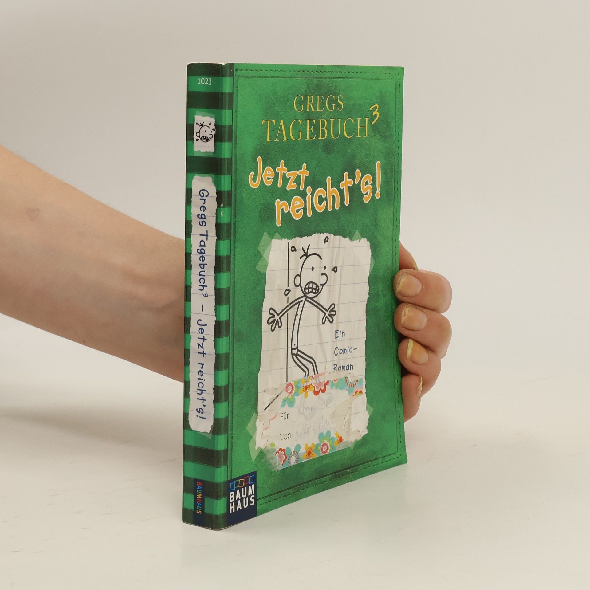 Jeff Kinney Gregs Tagebuch 3. Jetzt reicht's!