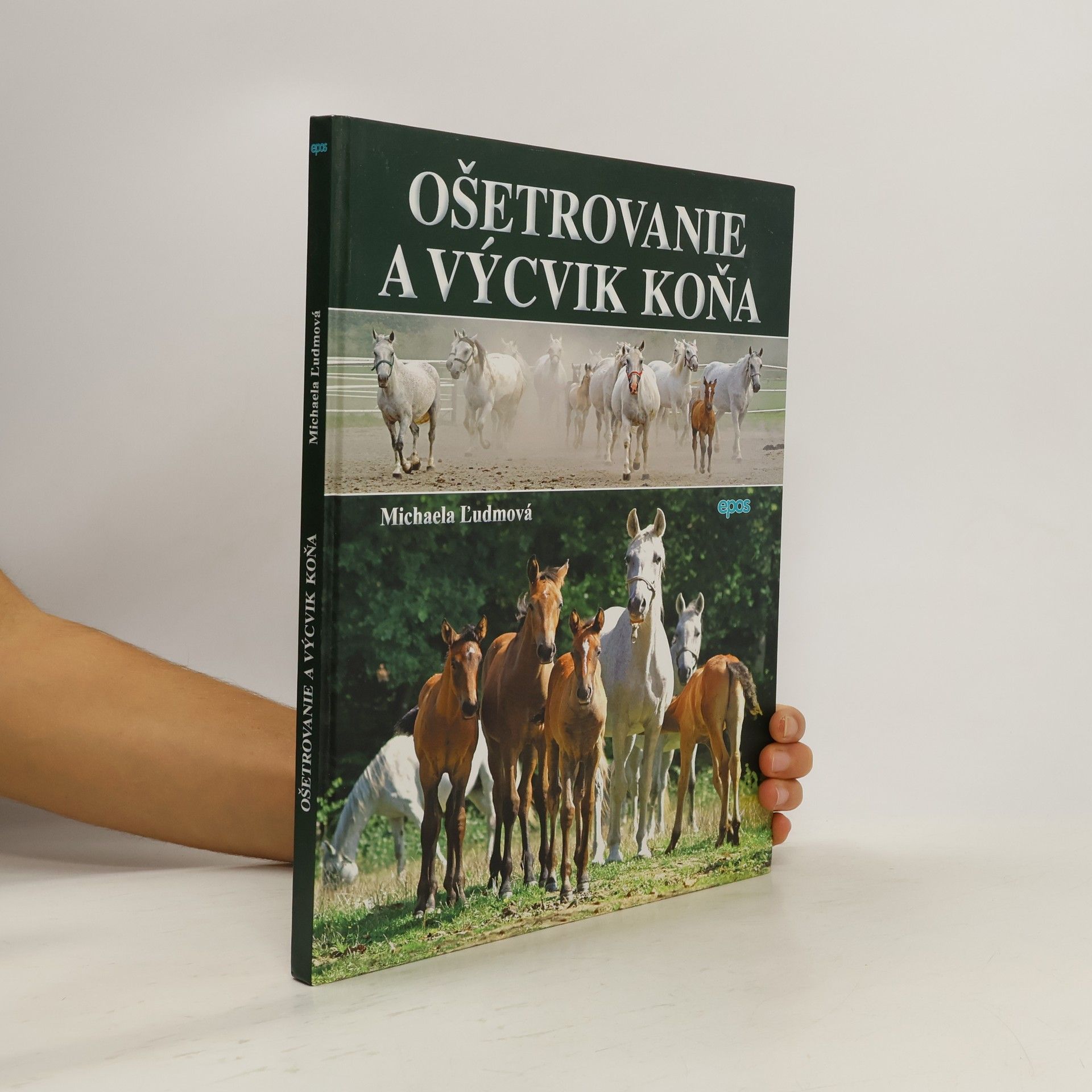 Ošetrovanie a výcvik koňa