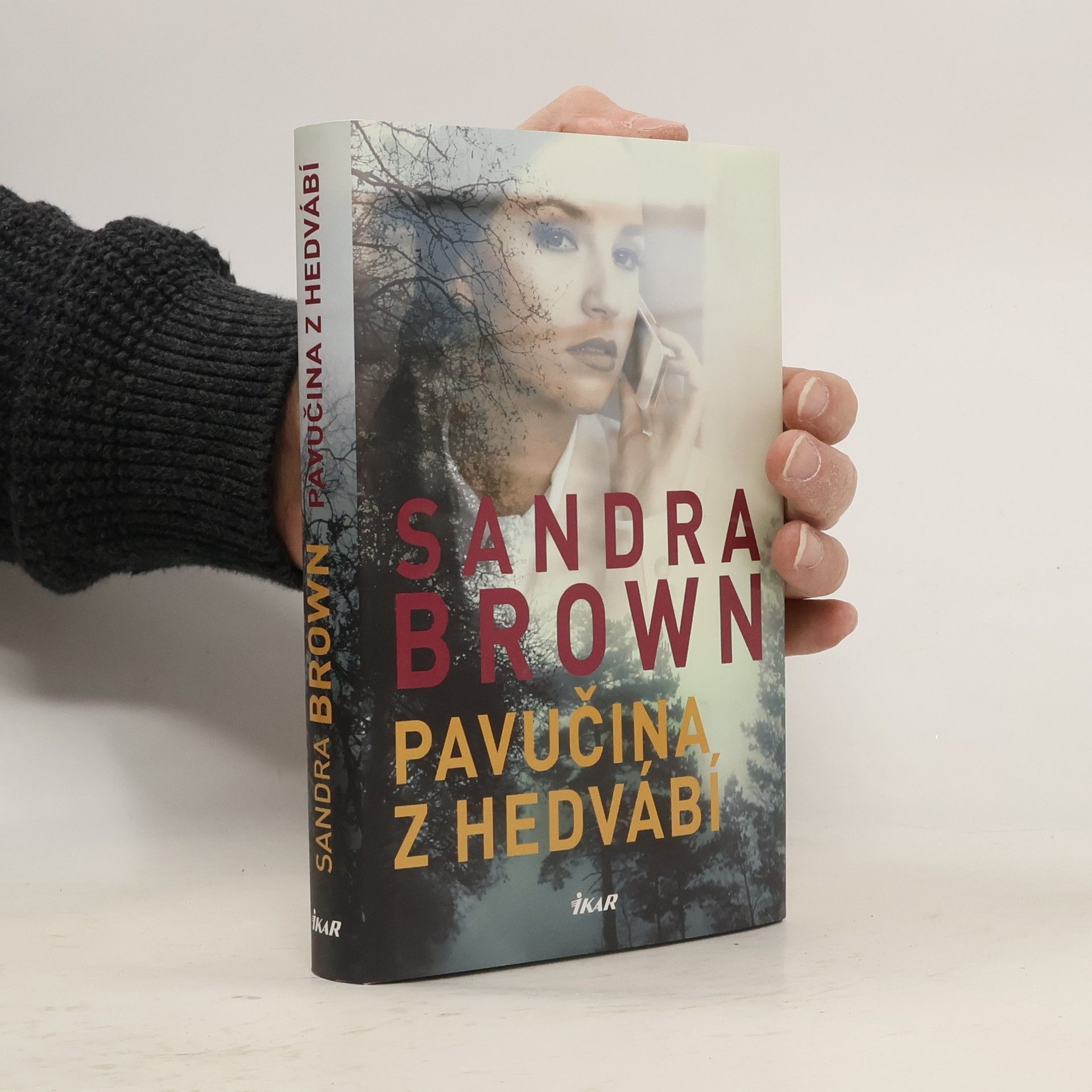 Sandra Brown Pavučina z hedvábí