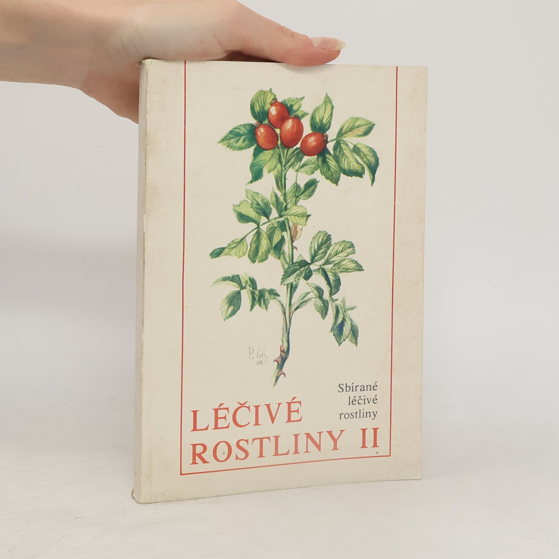 Léčivé rostliny II