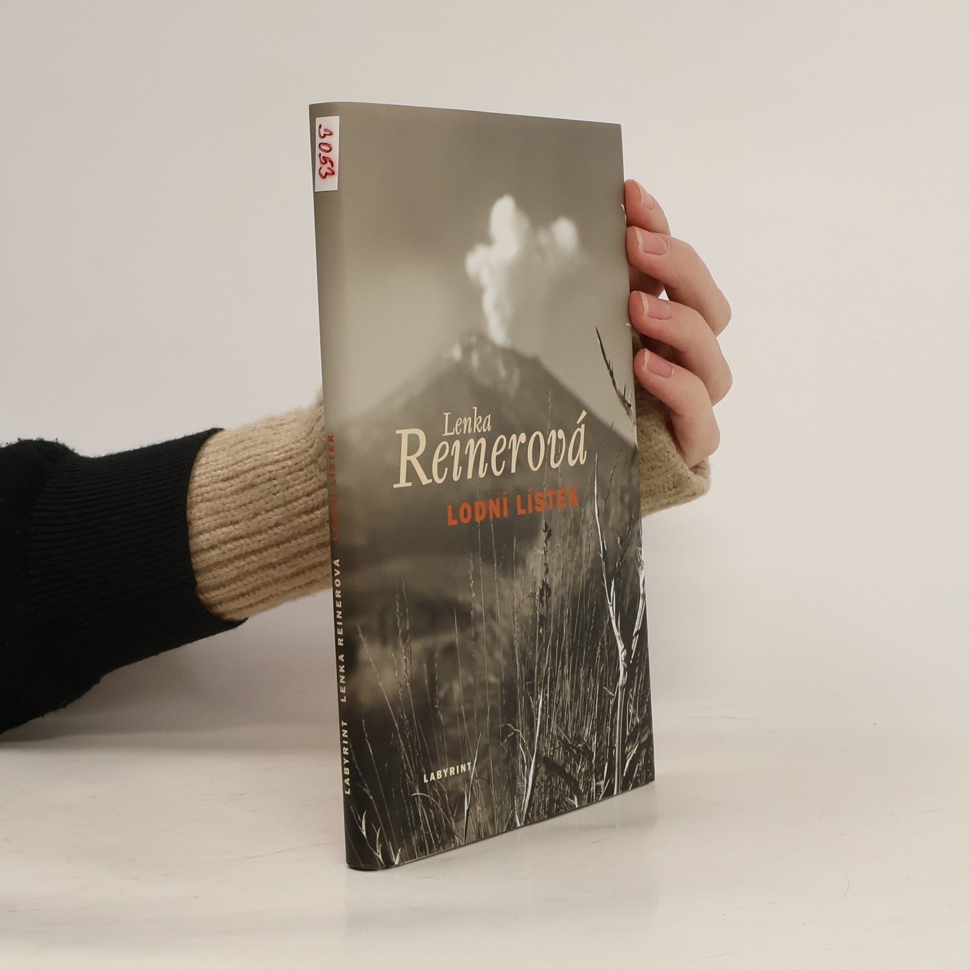 Lenka Reinerová Lodní lístek