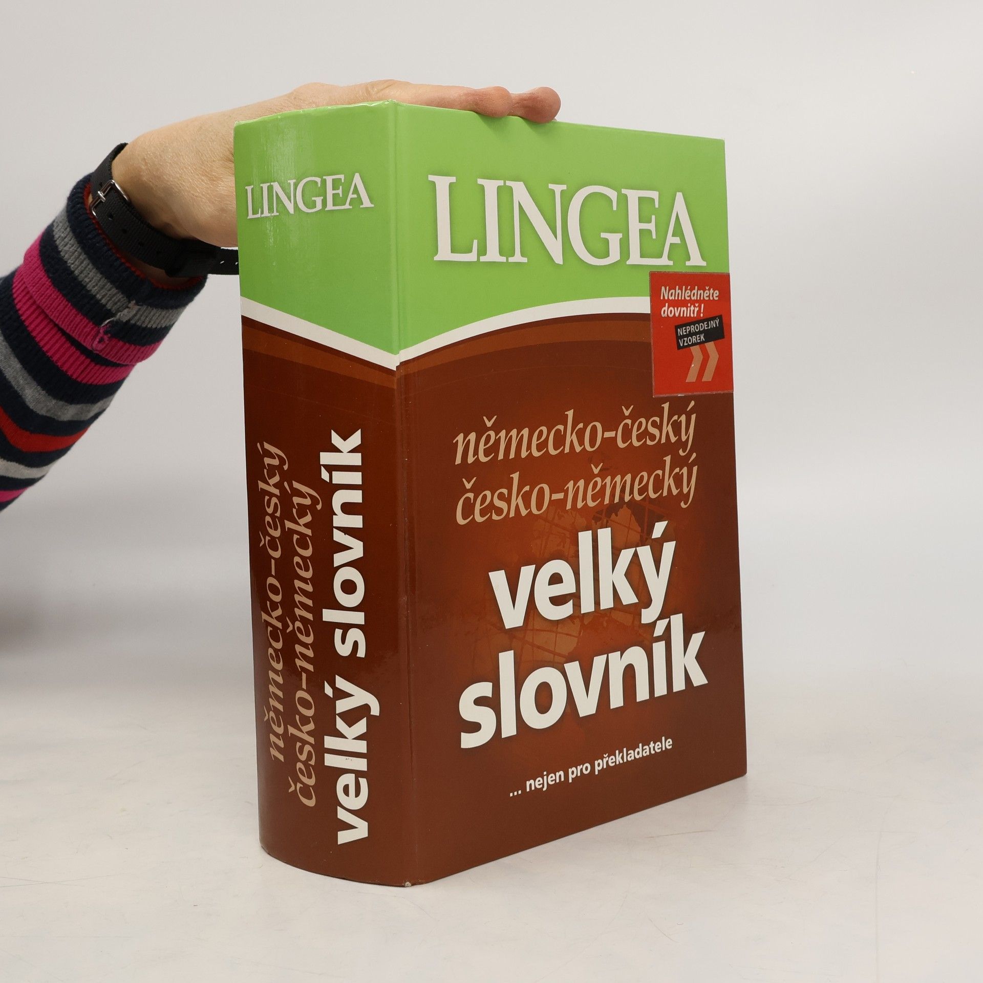 Autorenkollektiv Německo-český česko-německý velký slovník