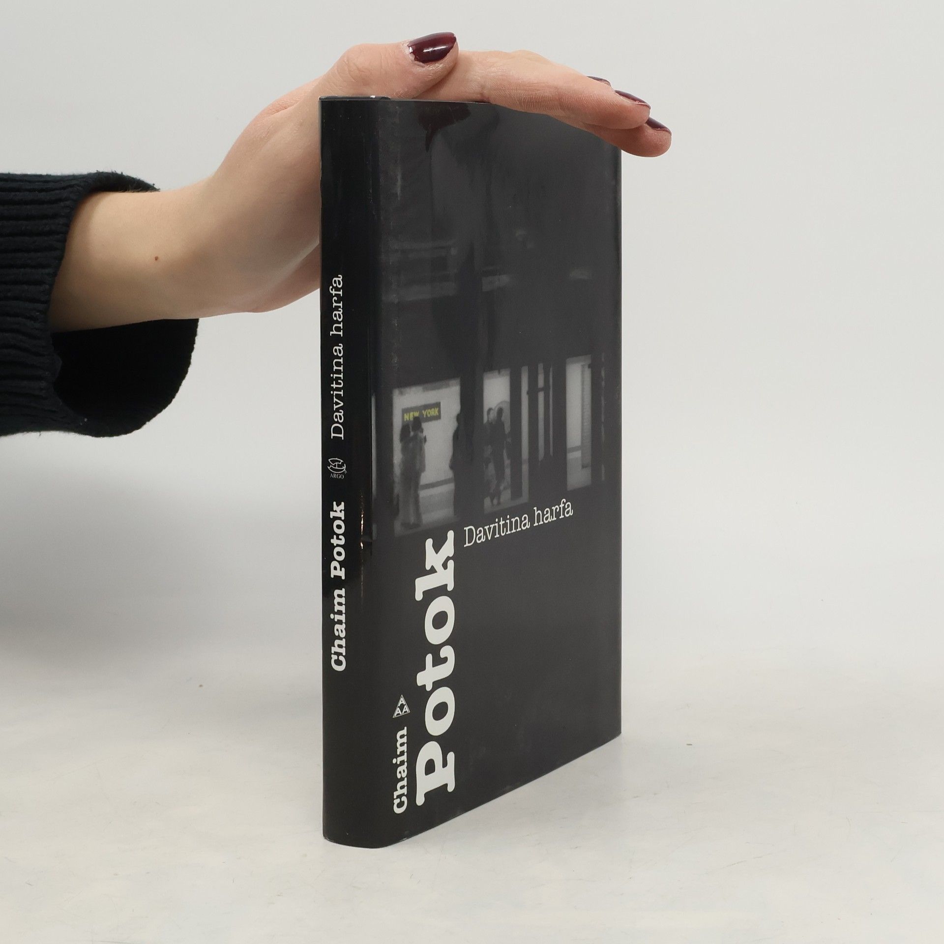 Chaim Potok Davitina harfa