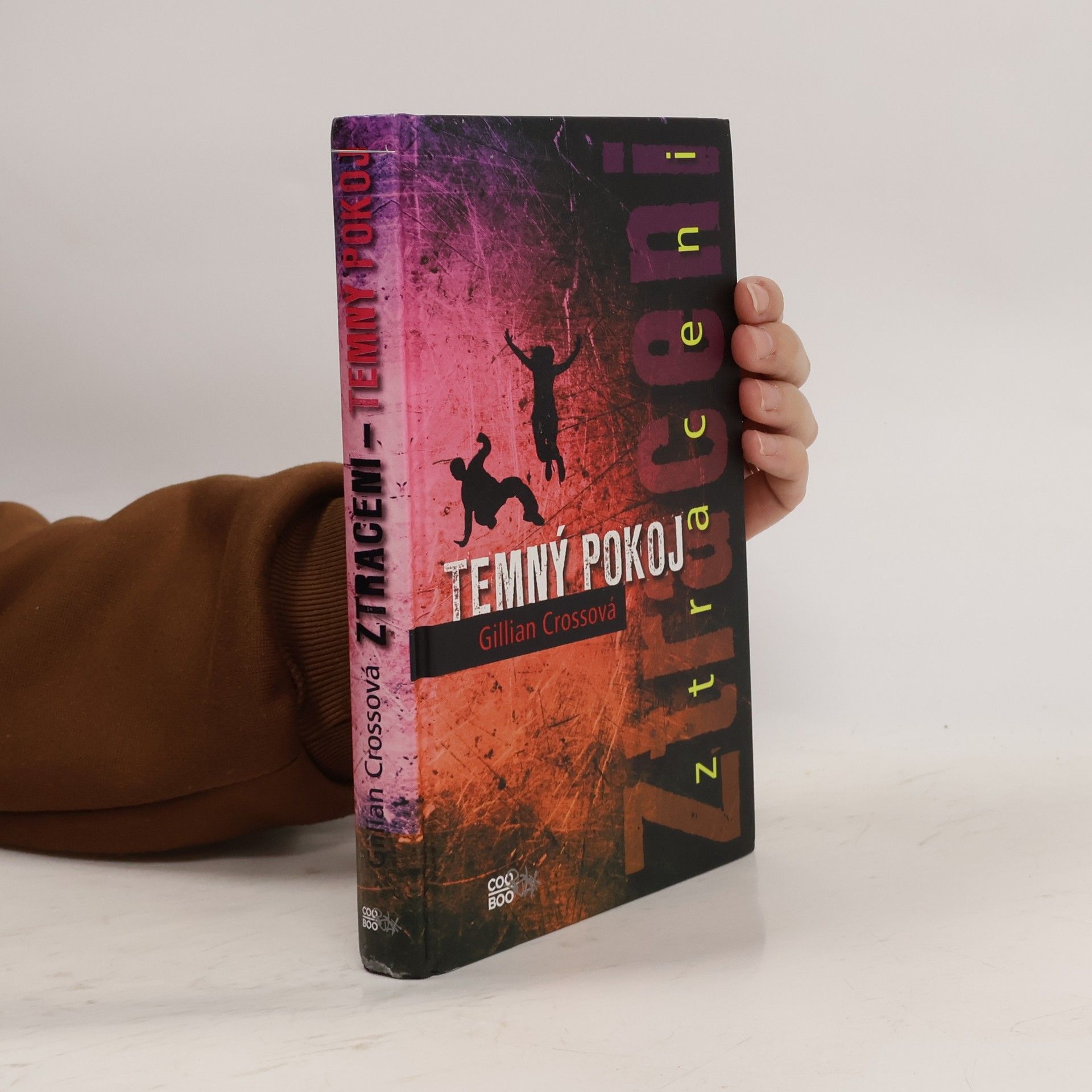 Gillian Cross Temný pokoj