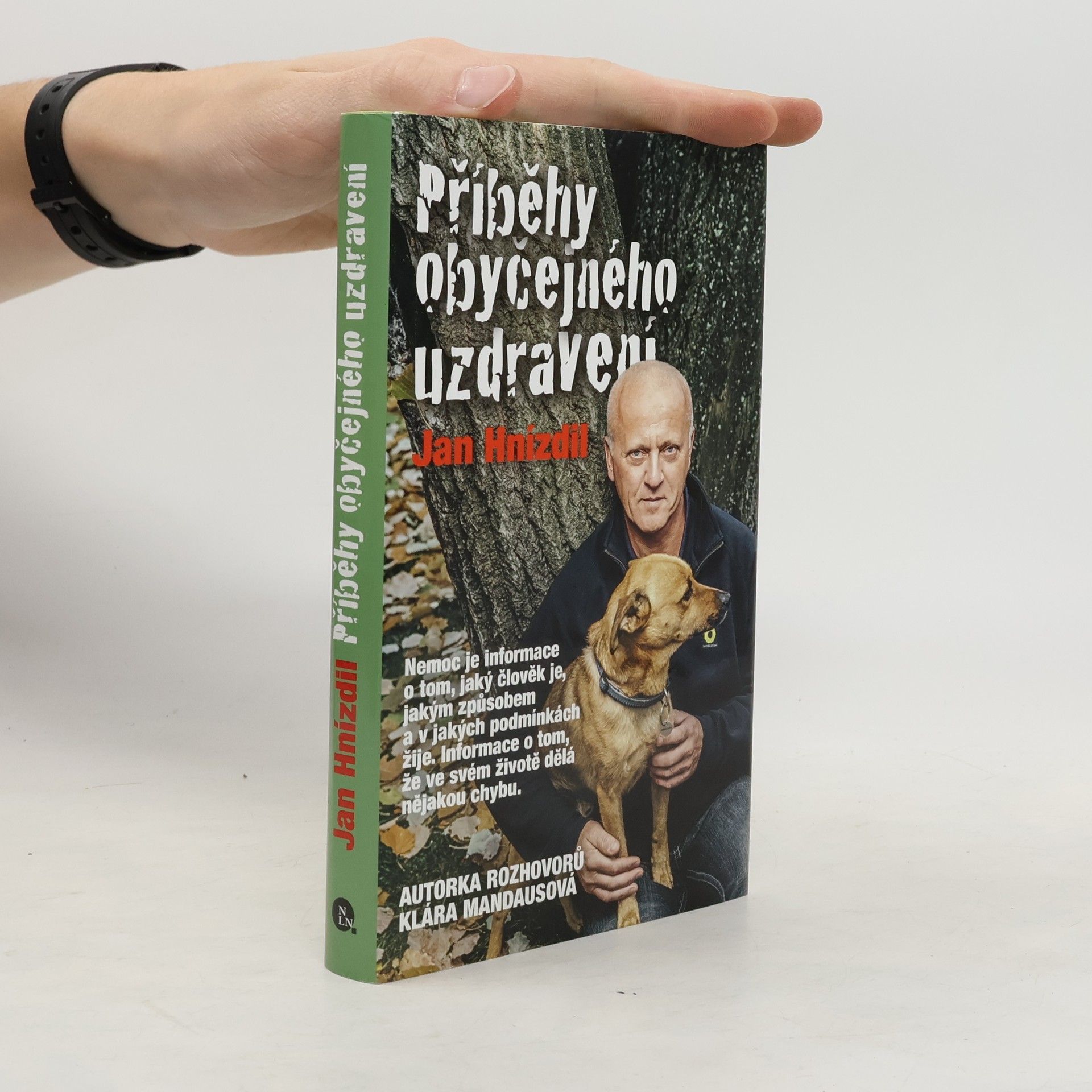 Jan Hnízdil Příběhy obyčejného uzdravení