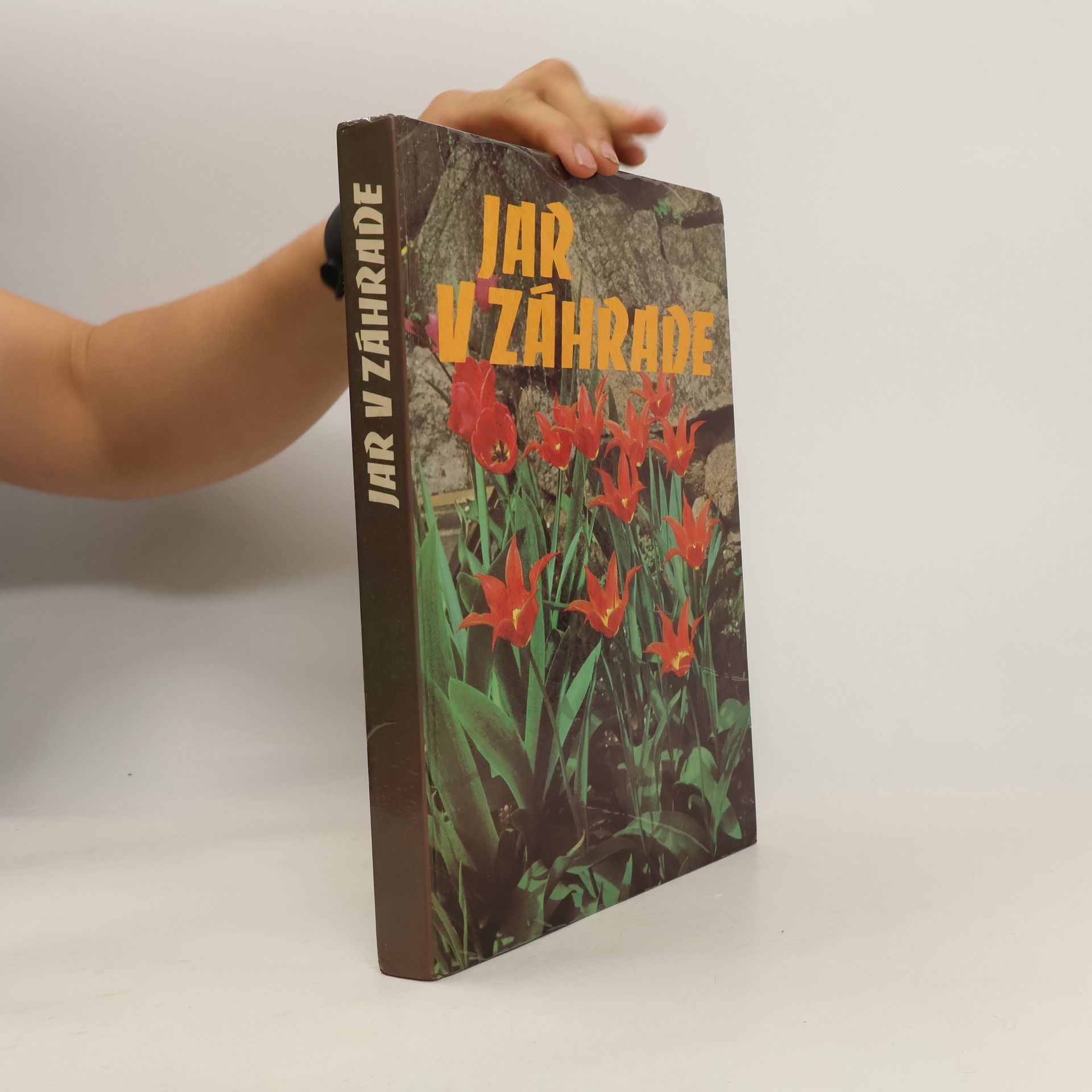 Collectif d'auteurs Jar v záhrade