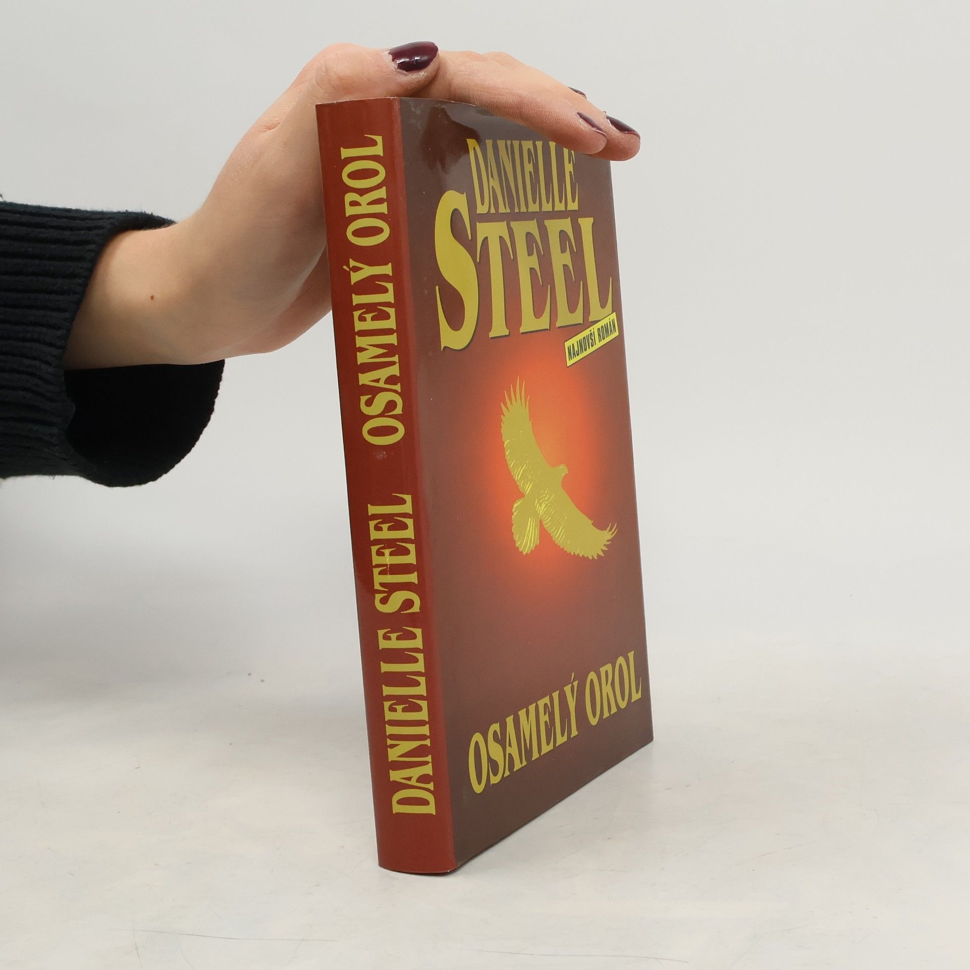 Danielle Steel Osamelý orol