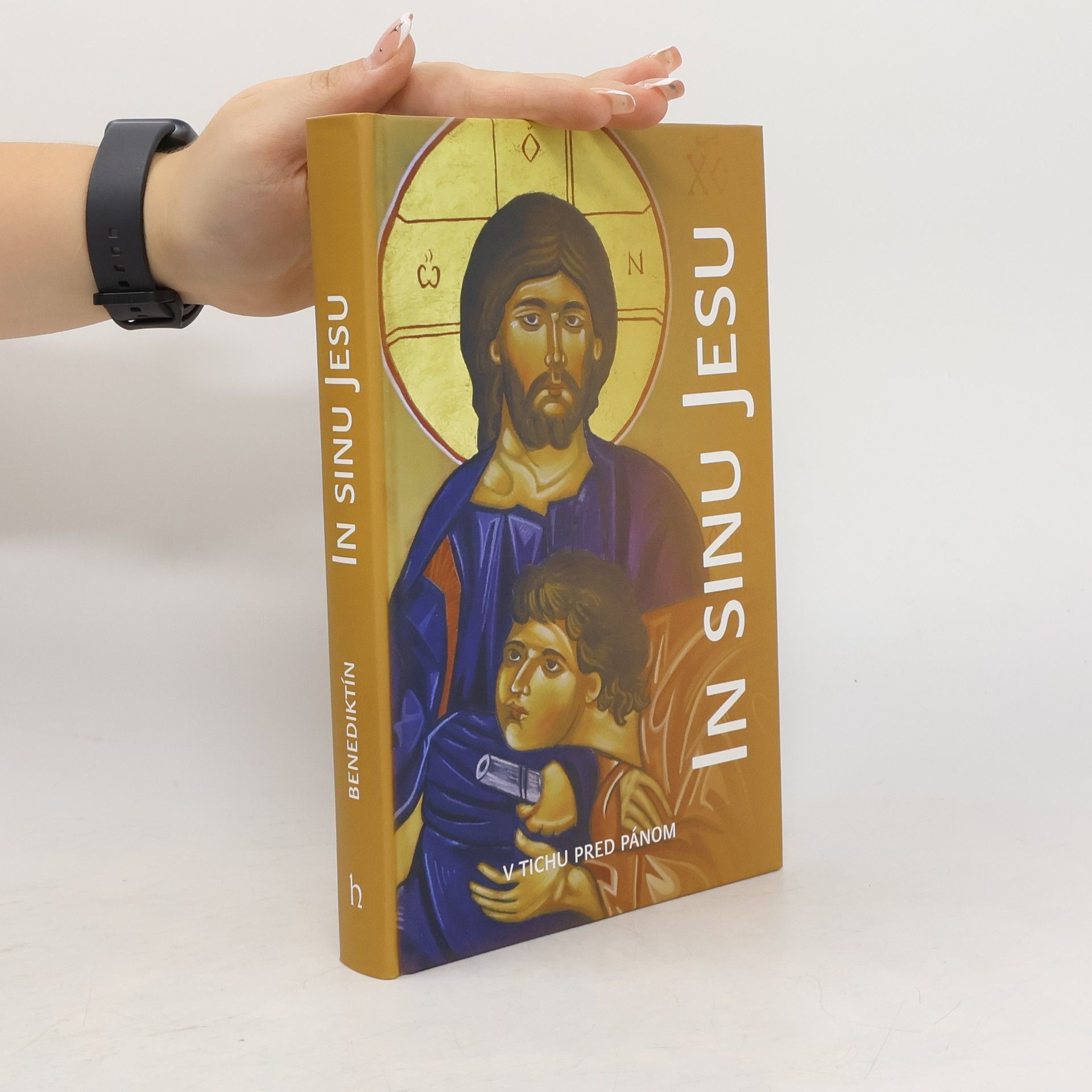 Kolektív autorov In sinu Jesu