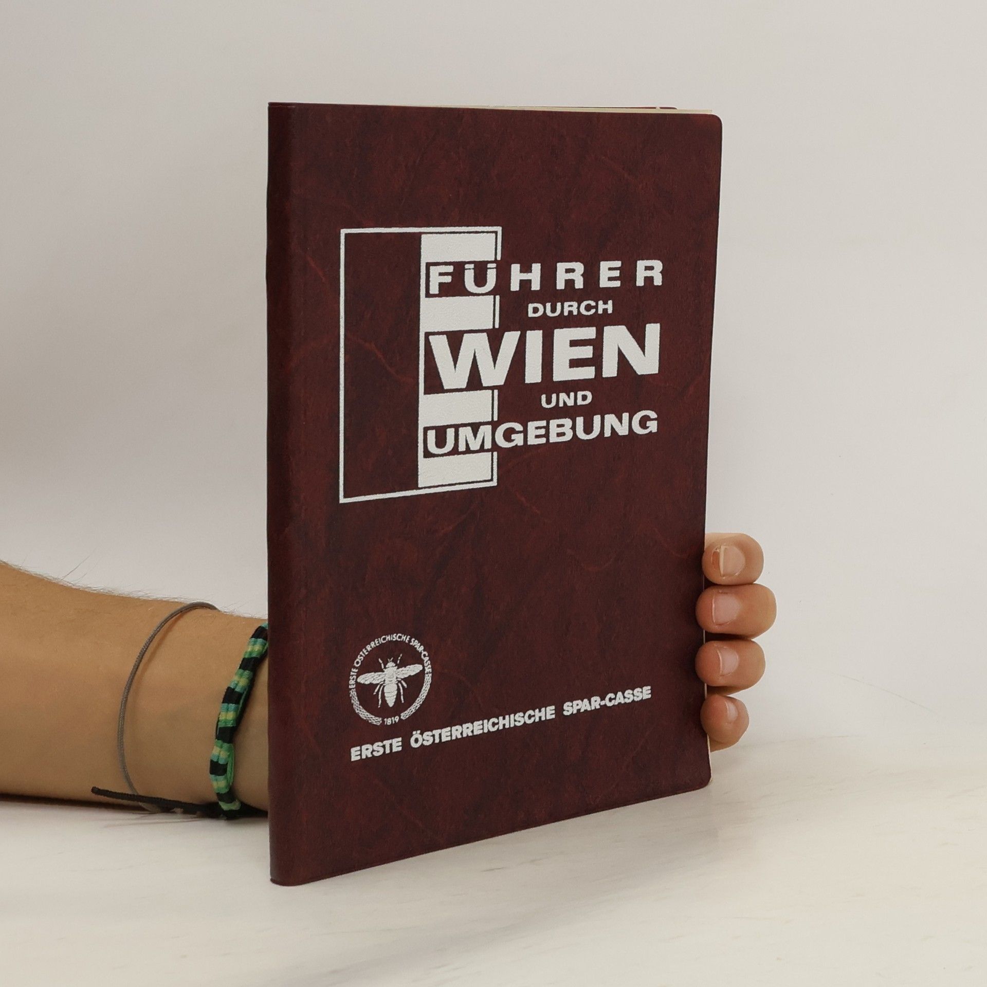 Autorenkollektiv Führer durch Wien und Umgebung