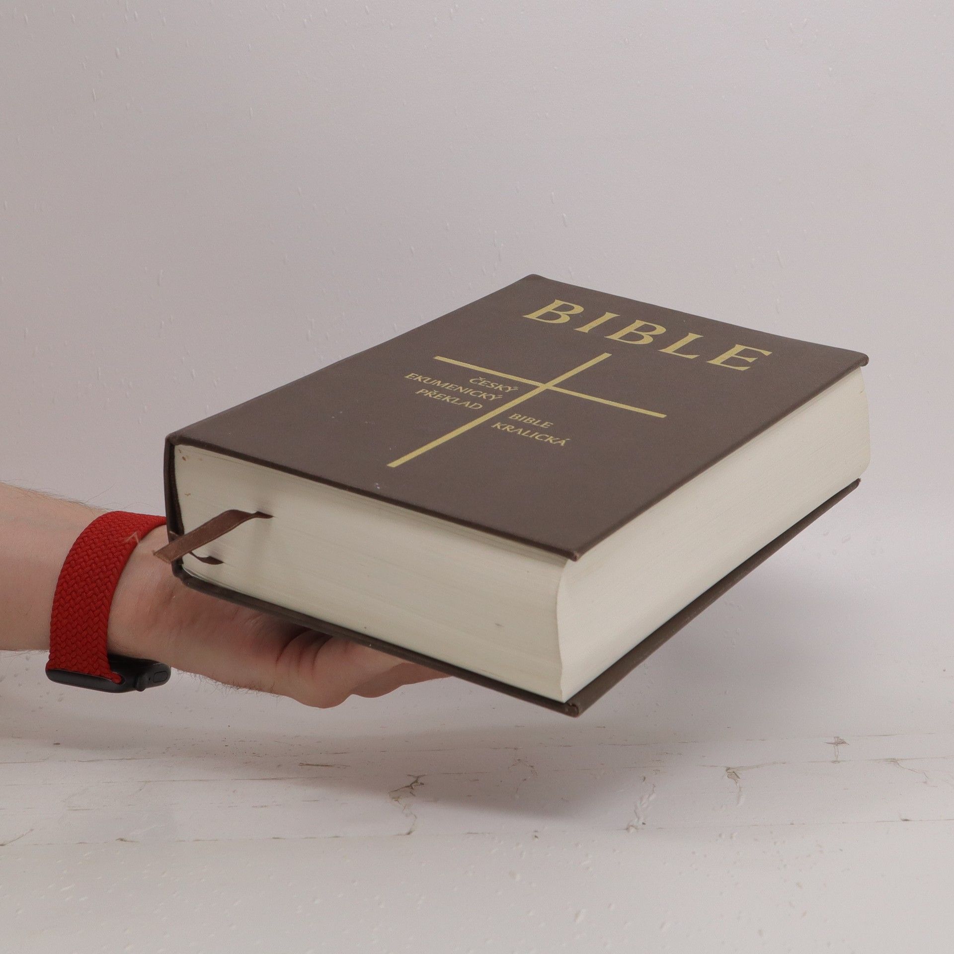 Miloš Bič Bible : český ekumenický překlad
