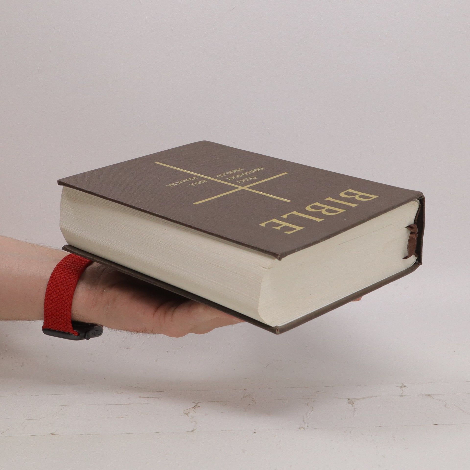 Miloš Bič Bible : český ekumenický překlad