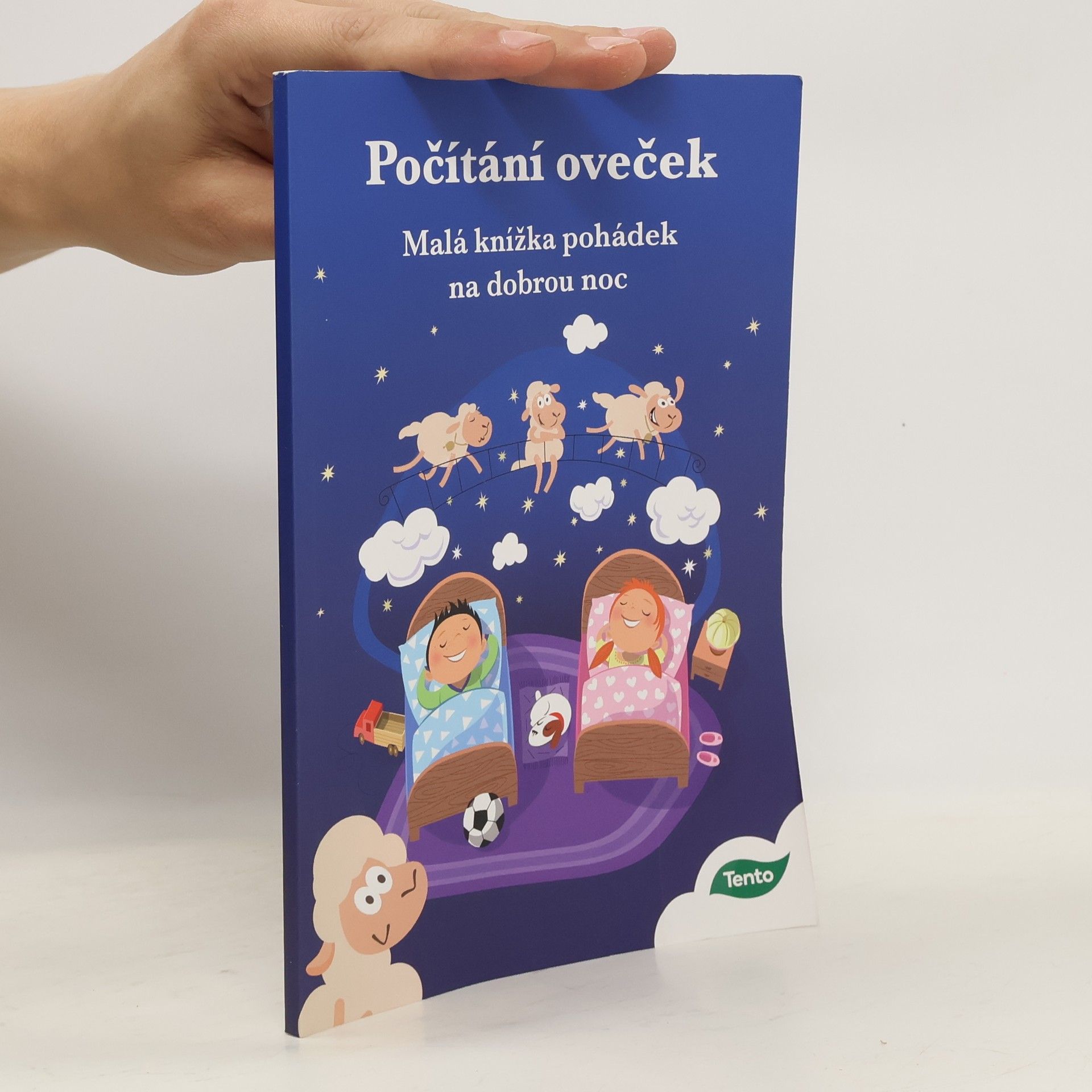 Kolektiv autorů Počítání oveček