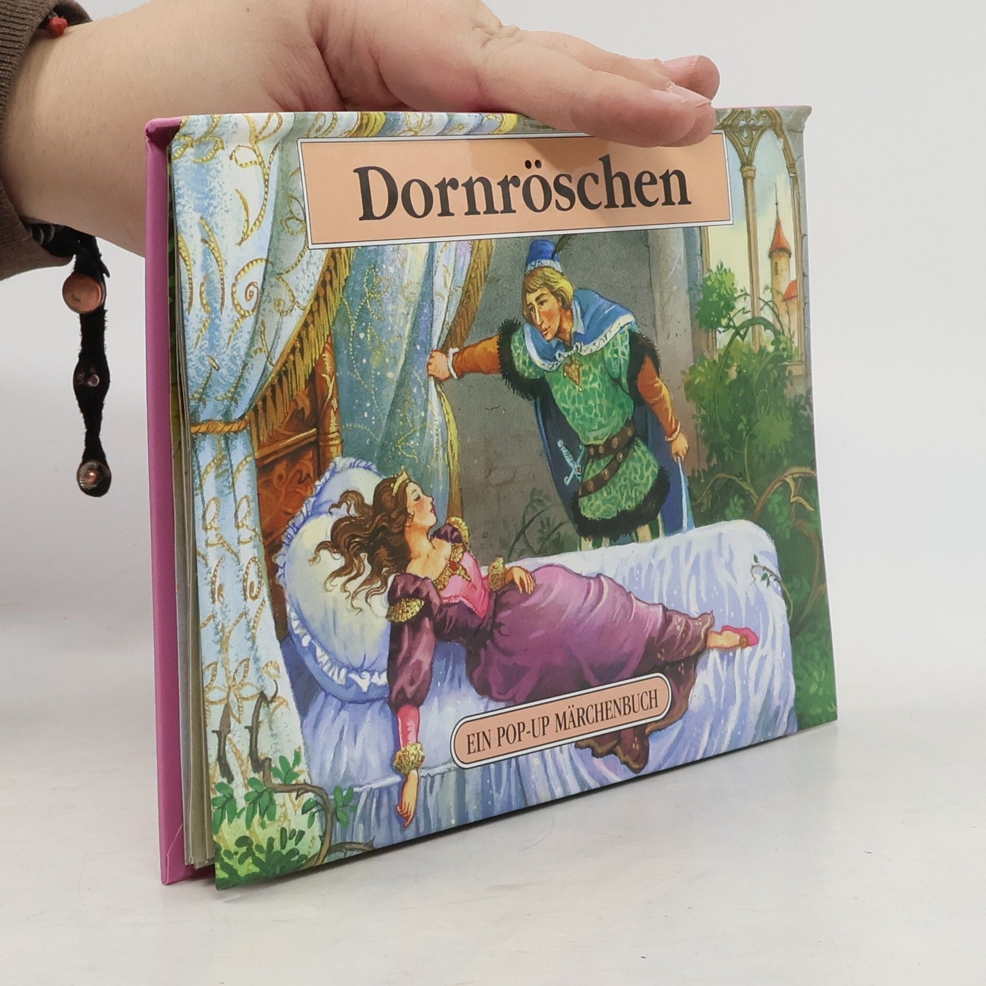 Collectif d'auteurs Dornröschen