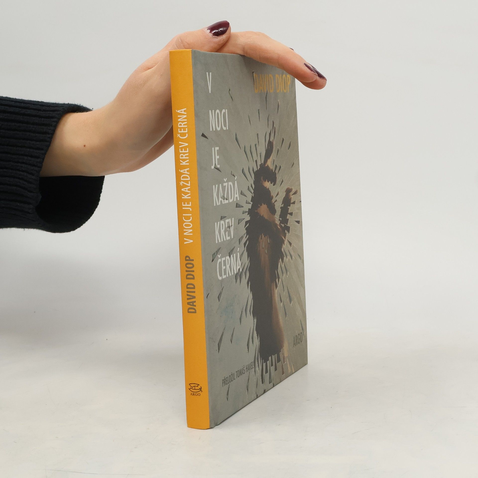 David Diop V noci je každá krev černá