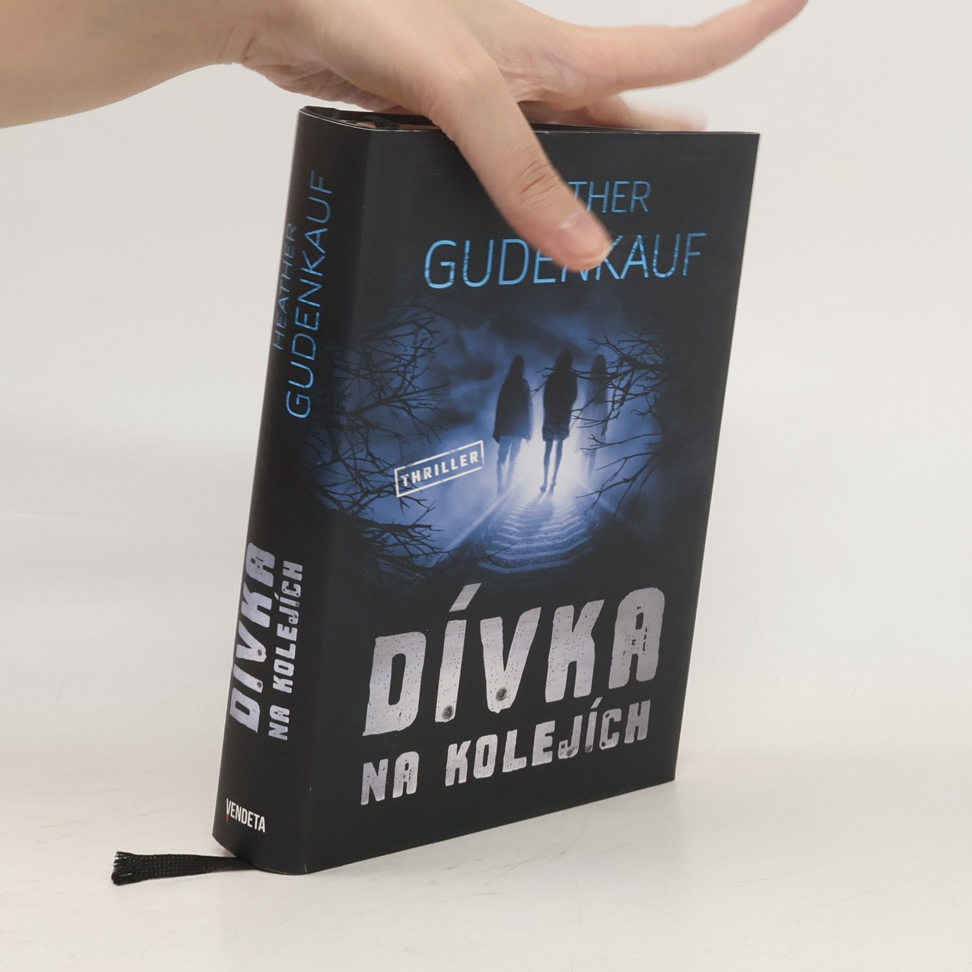 Heather Gudenkauf Dívka na kolejích