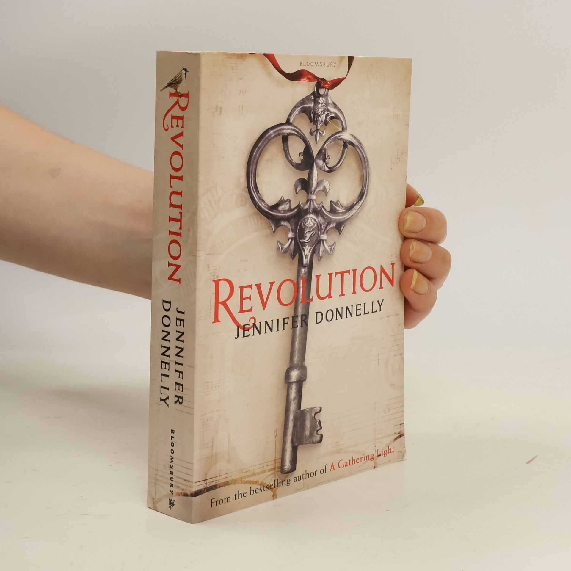 Jennifer Donnelly Revolution