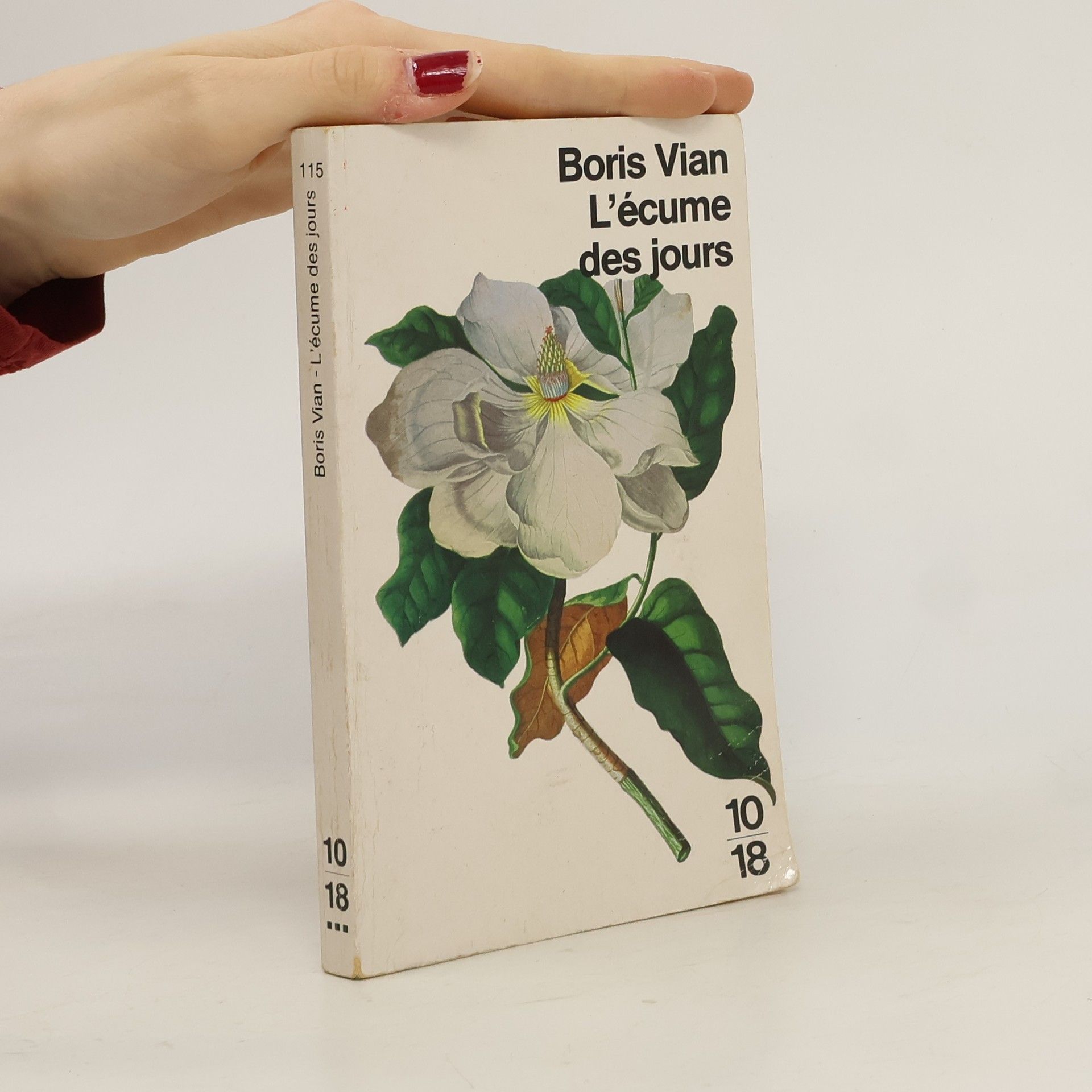 Boris Vian L' écume des jours