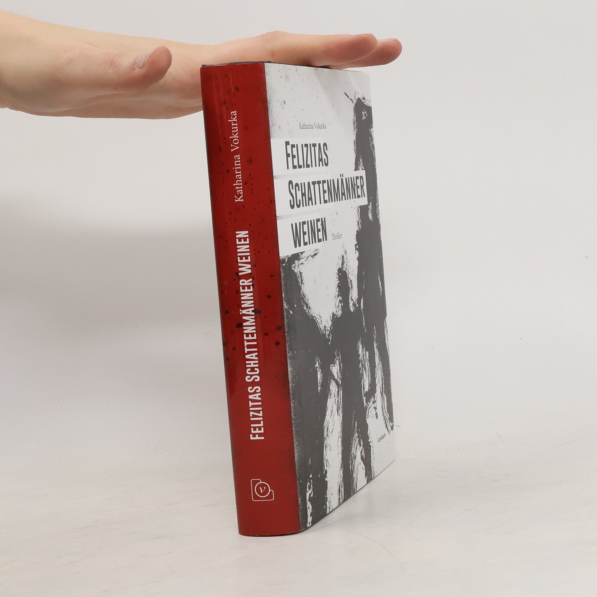 Katharina Vokurka Felizitas Schattenmänner weinen