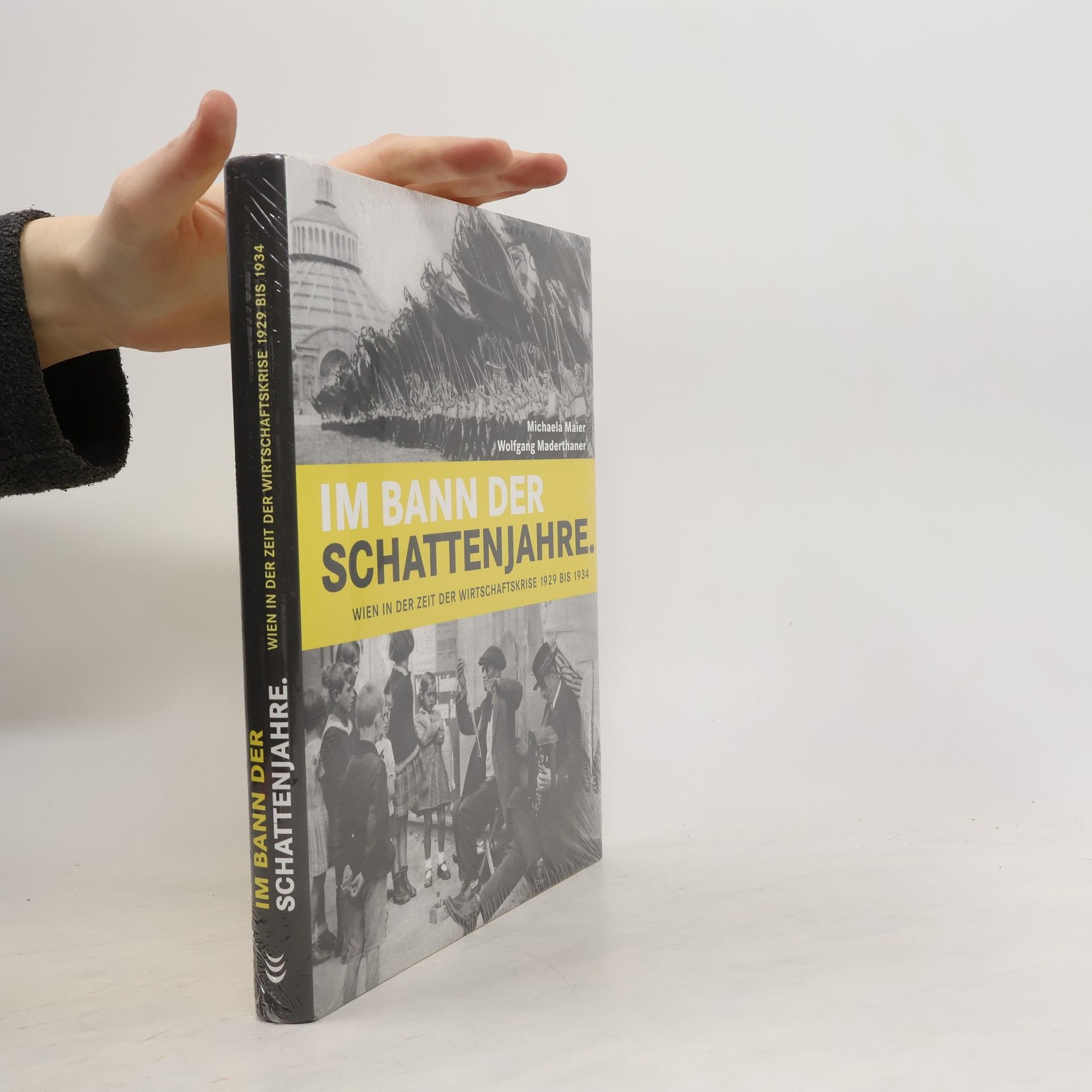 Michaela Maier Im Bann der Schattenjahre