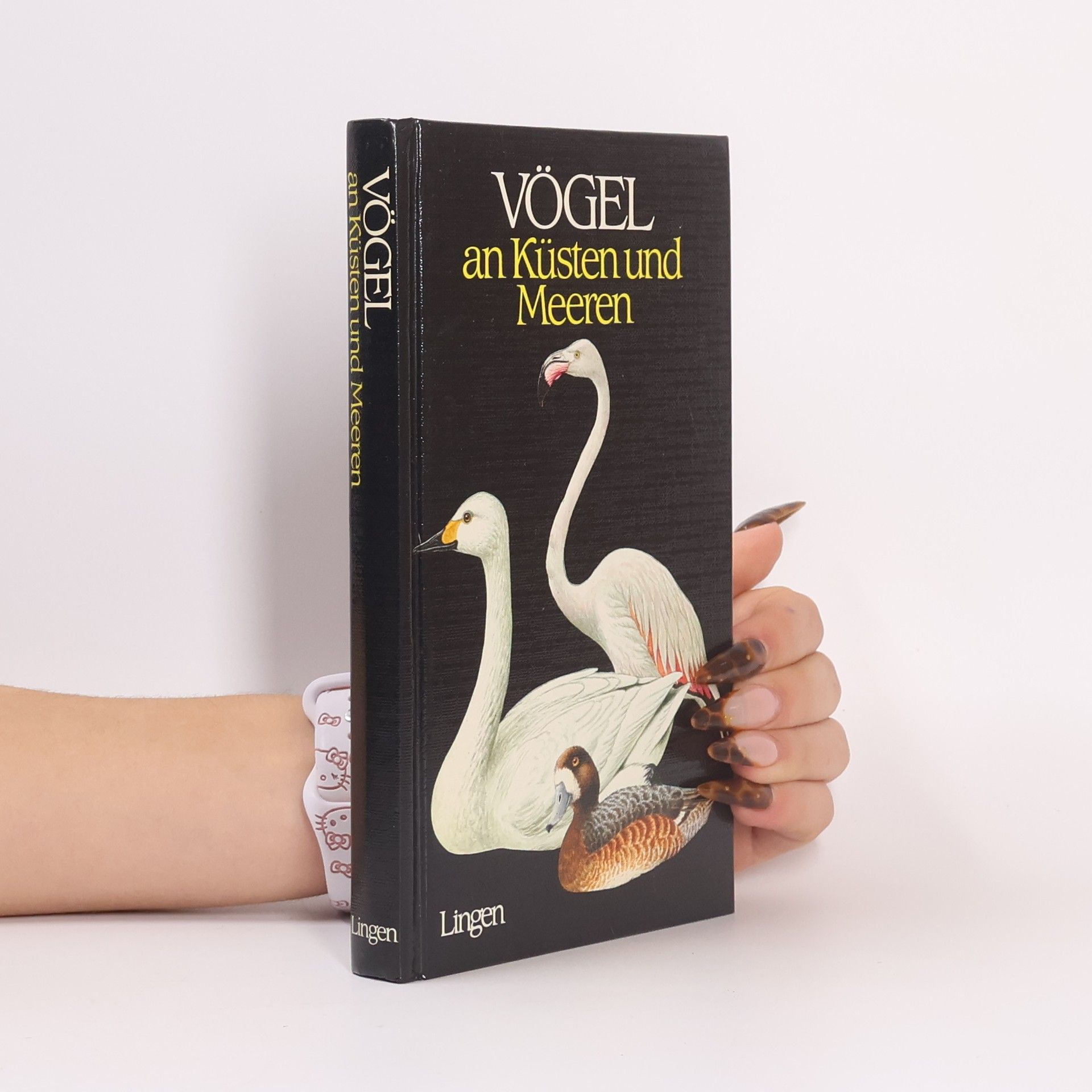 Vögel an Küsten und Meeren
