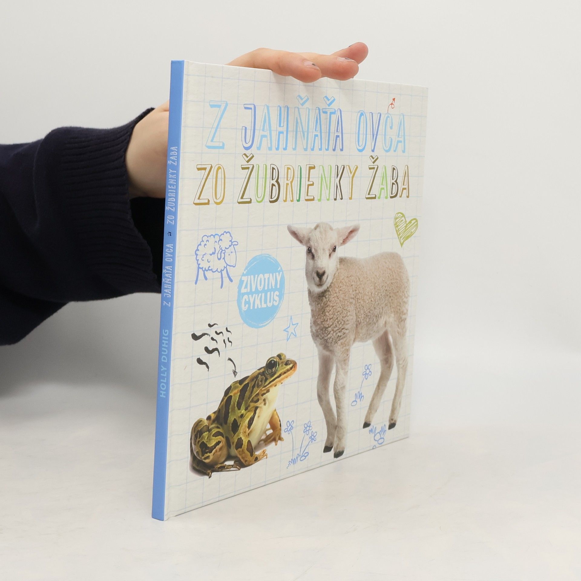 Collectif d'auteurs Životný cyklus. Z jahňaťa ovca, zo žubrienky žaba