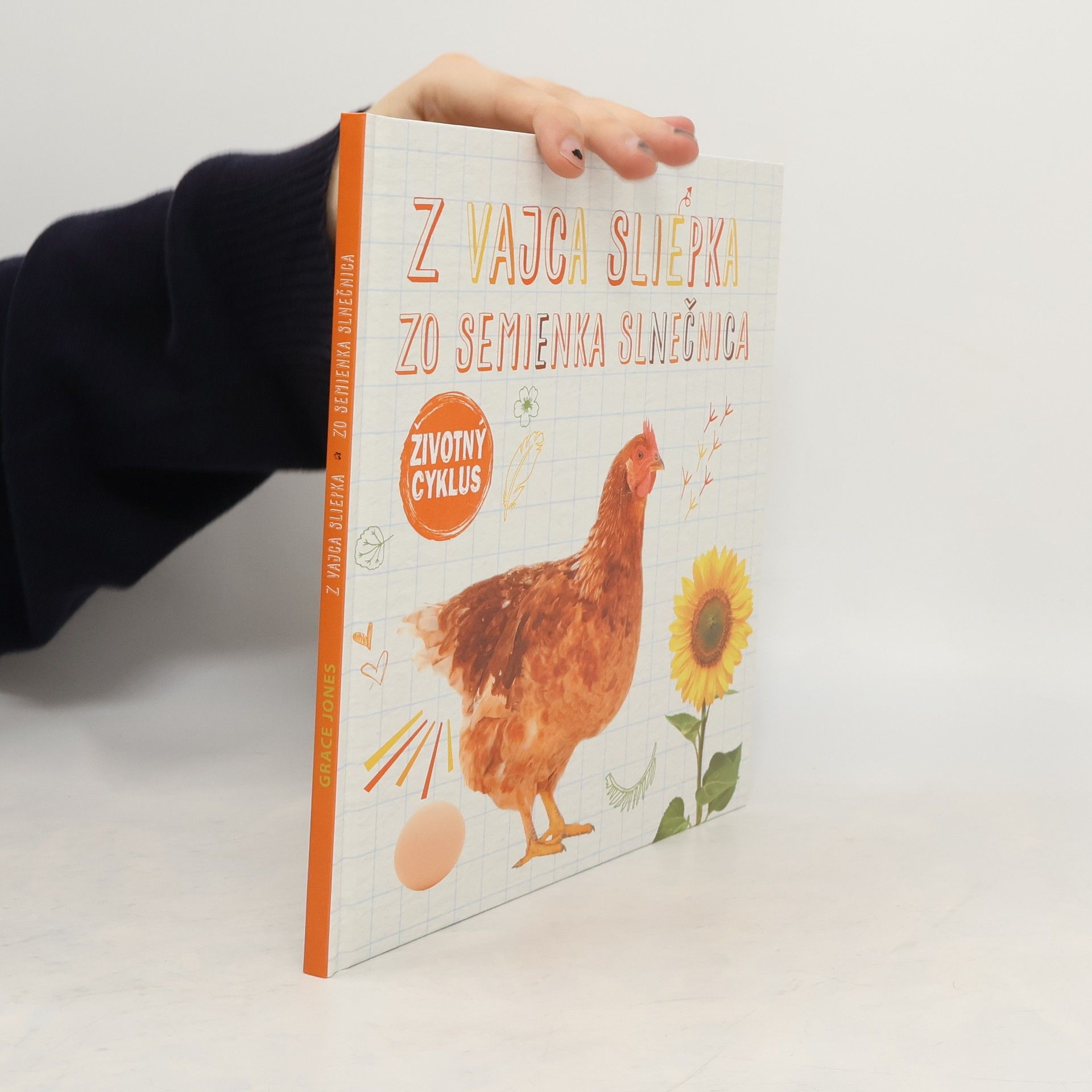 Autorenkollektiv Životný cyklus – Z vajca sliepka, zo semienka slnečnica