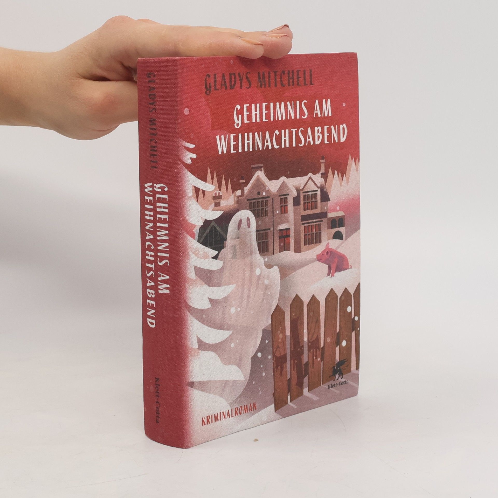 Geheimnis am Weihnachtsabend