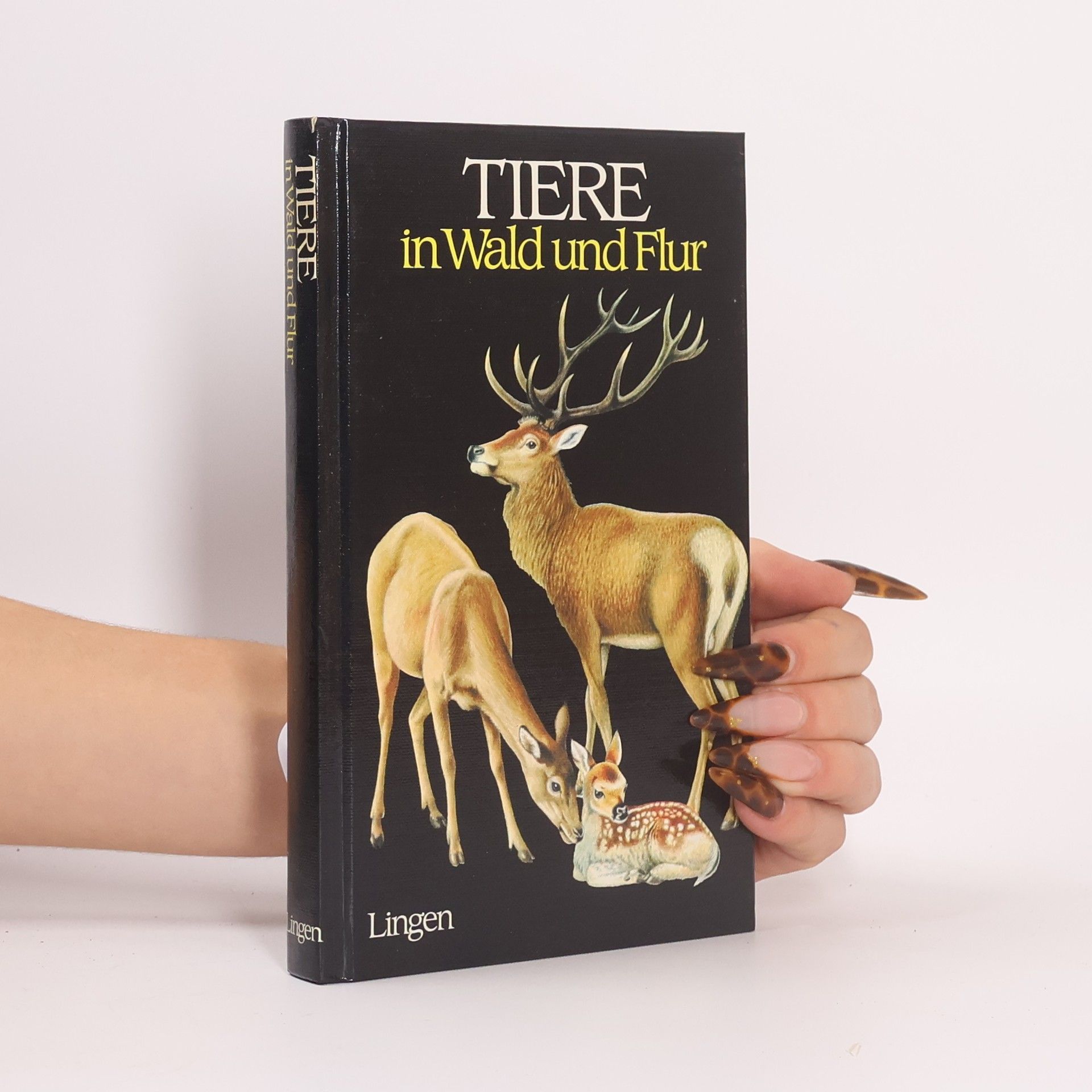 Autorenkollektiv Tiere in Wald und Flur